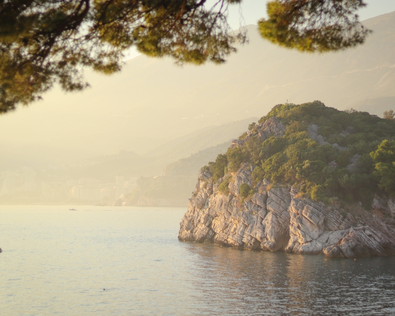 Скала покрытая зеленью на берегу океана