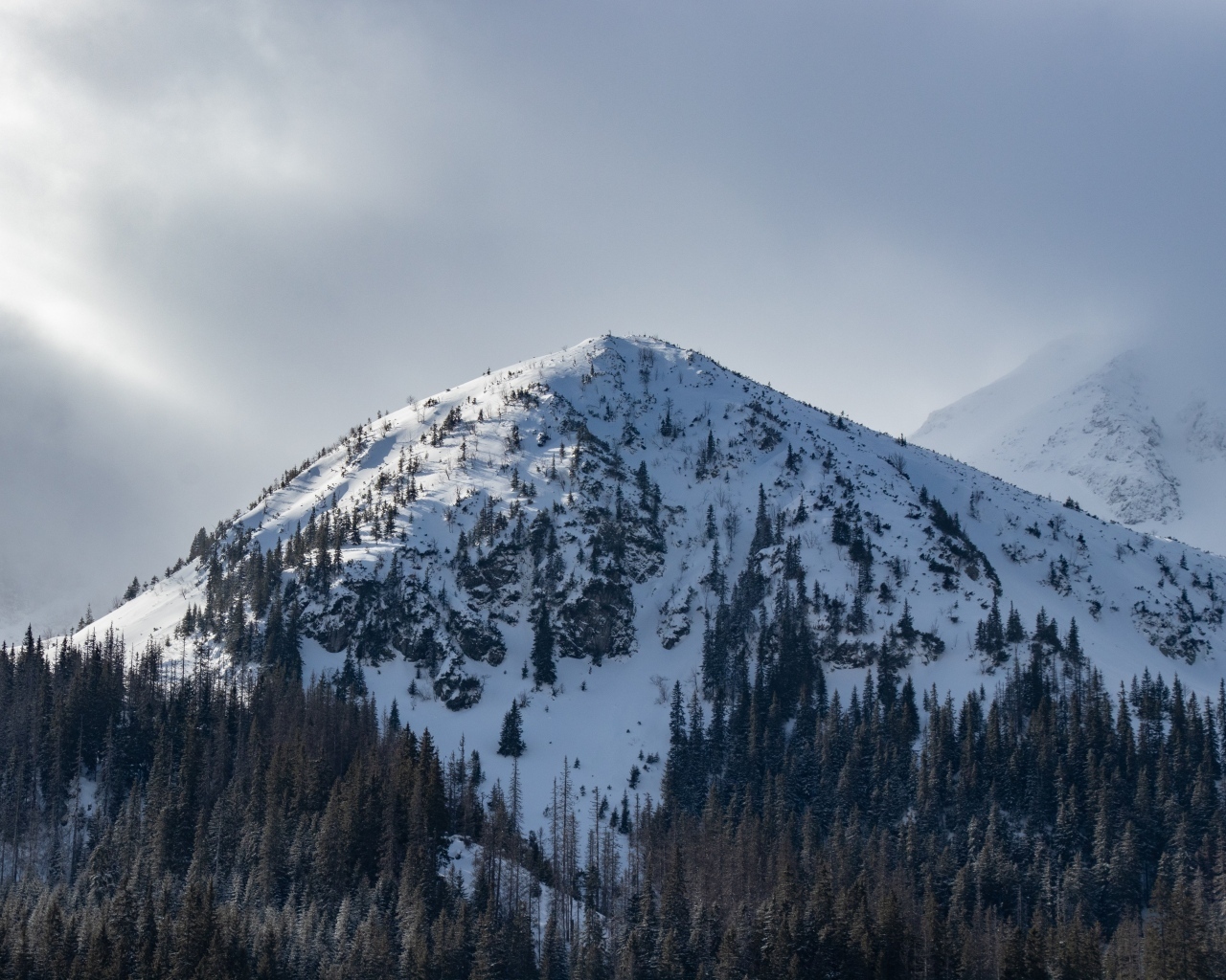 Высокая заснеженная гора под пасмурным небом
