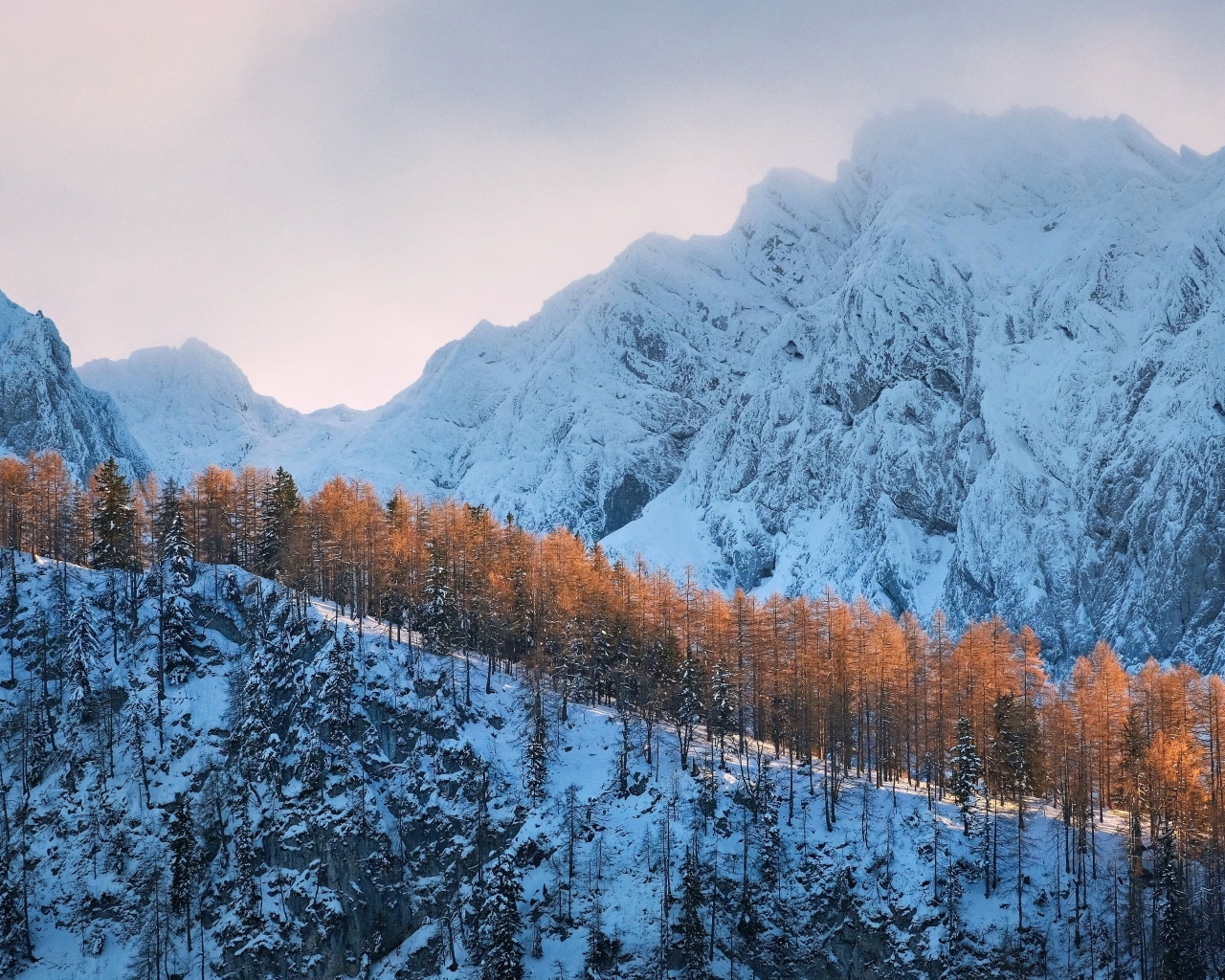 Покрытые холодным белым снегом горы с лесом