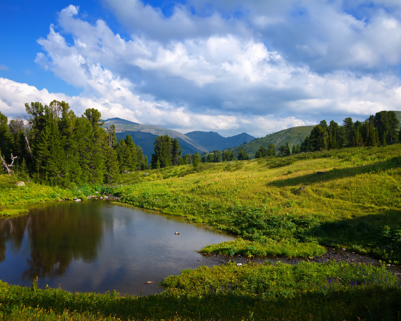 Живописная зеленая горная природа