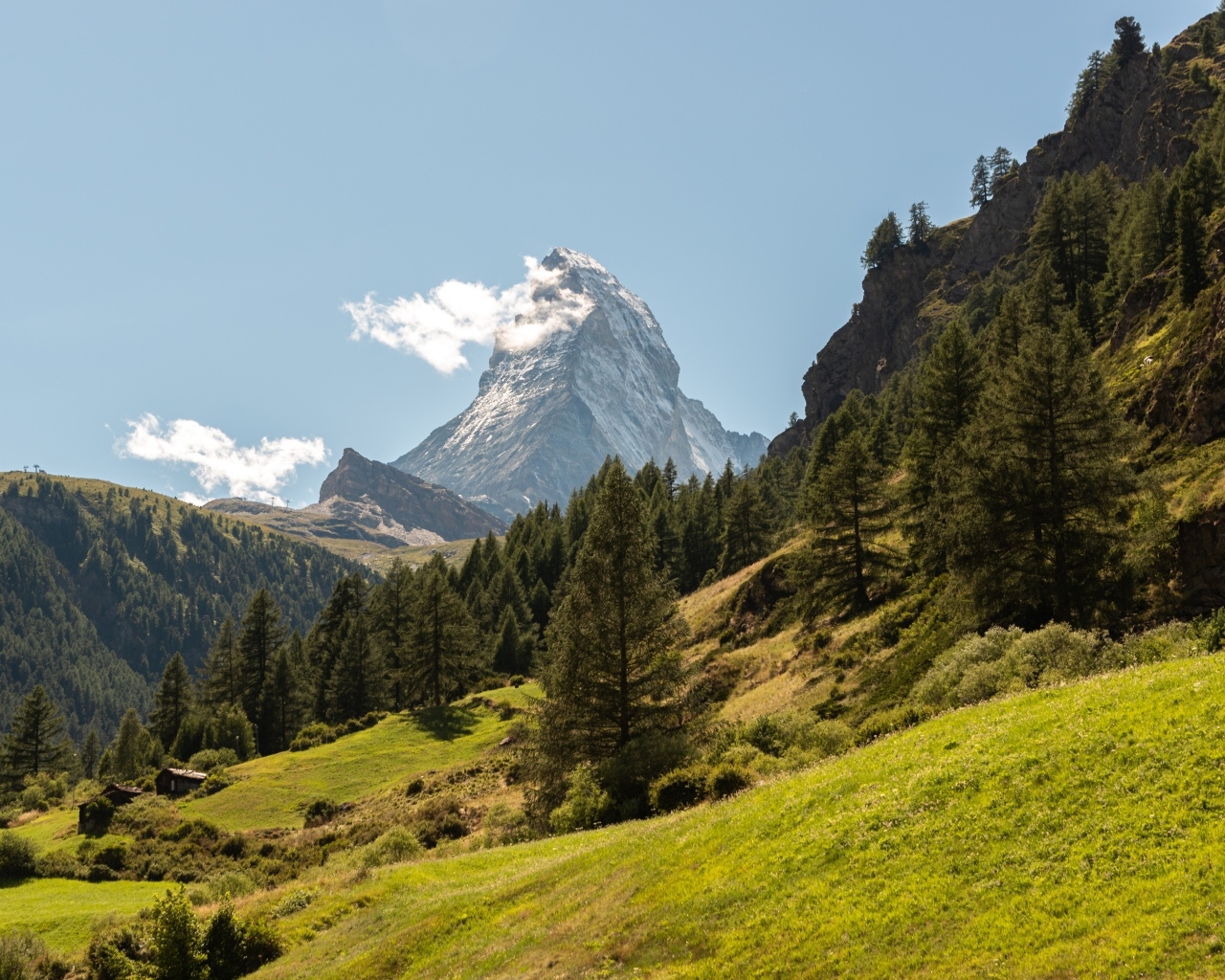 Вид на лес и высокую горную вершину
