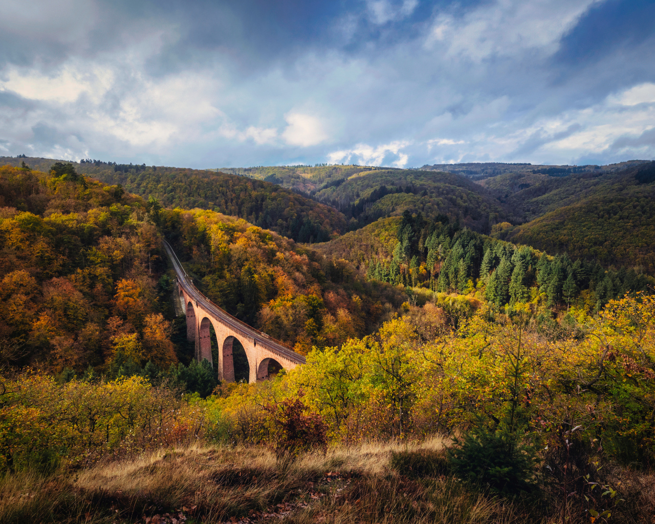 Старый мост виадук в зарослях деревьев