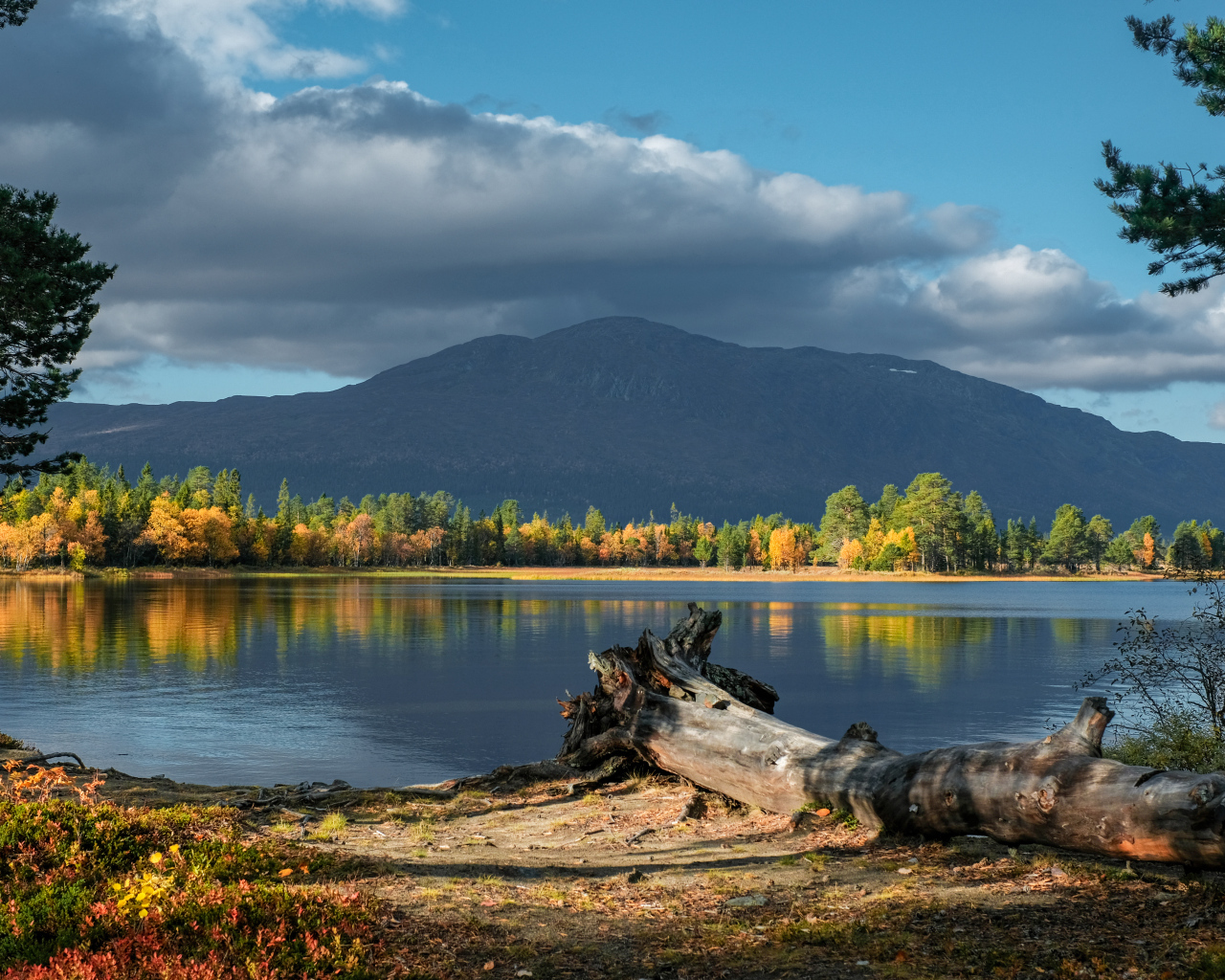 Красивый вид на озеро и гору осенью