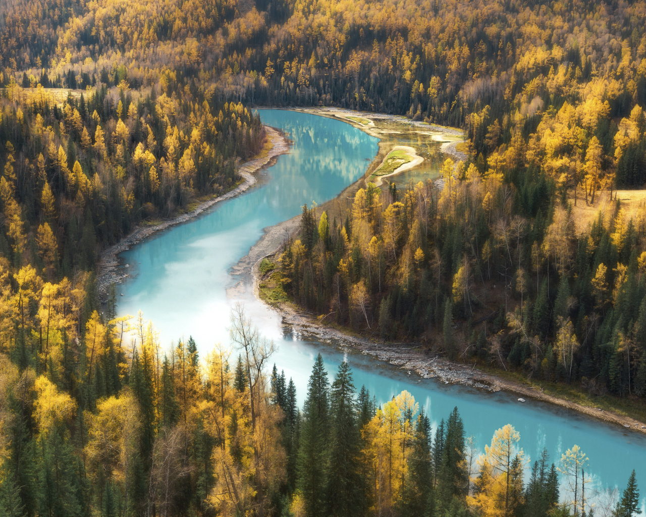 Голубая вода в реке у осеннего леса