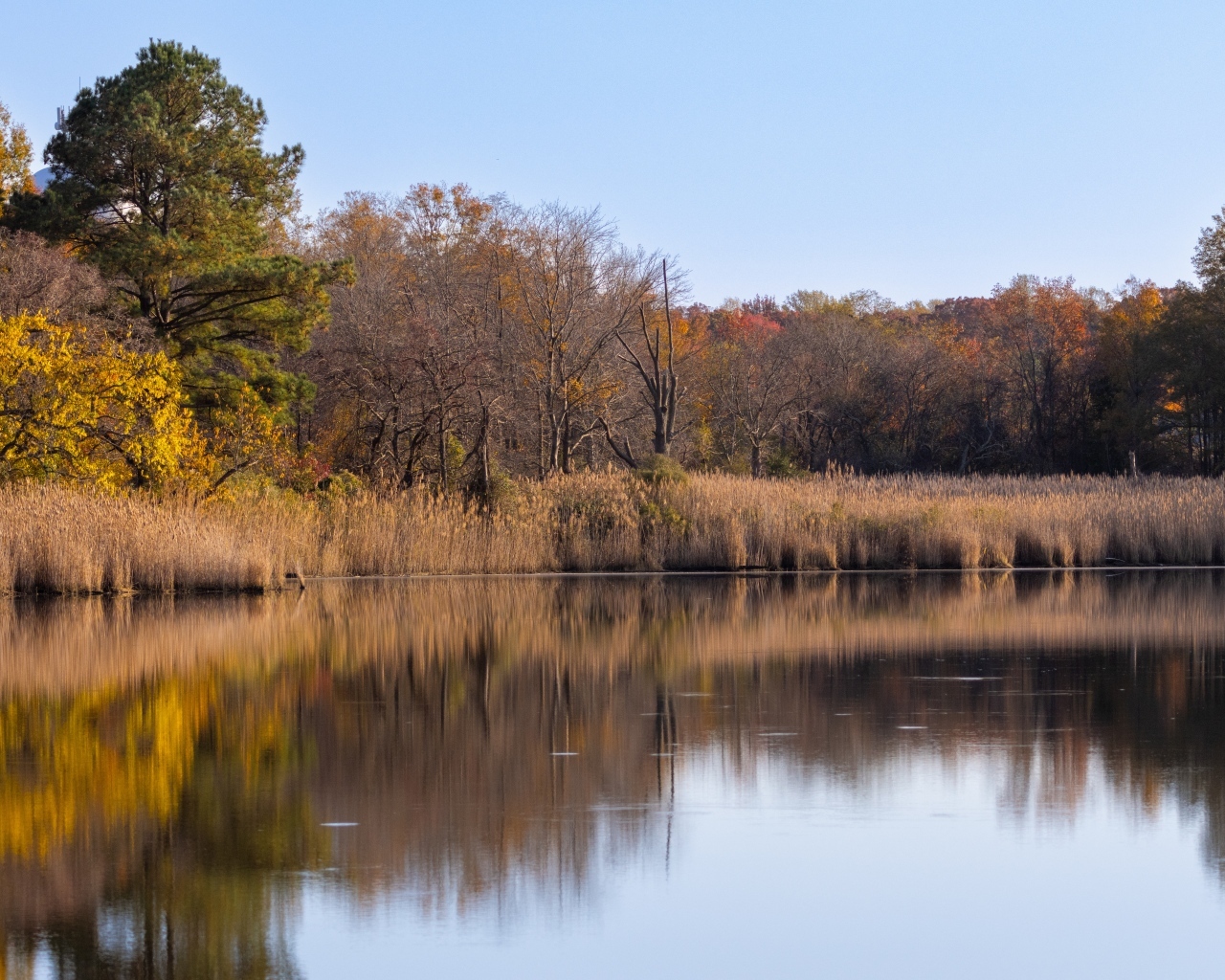 Спокойное озеро в лесу осенью 