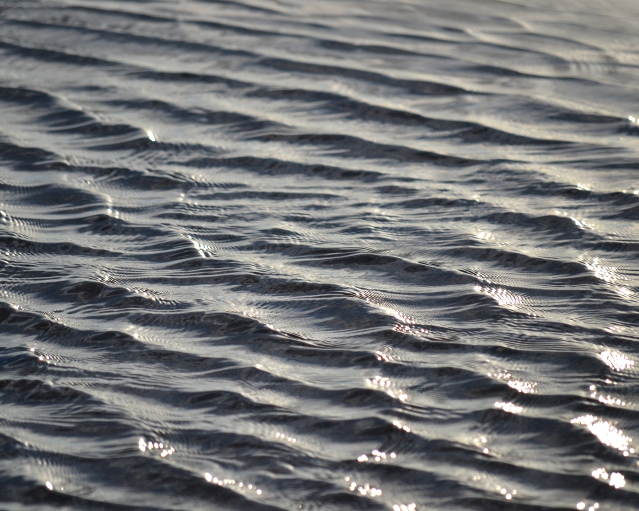 Спокойные волны на речной воде