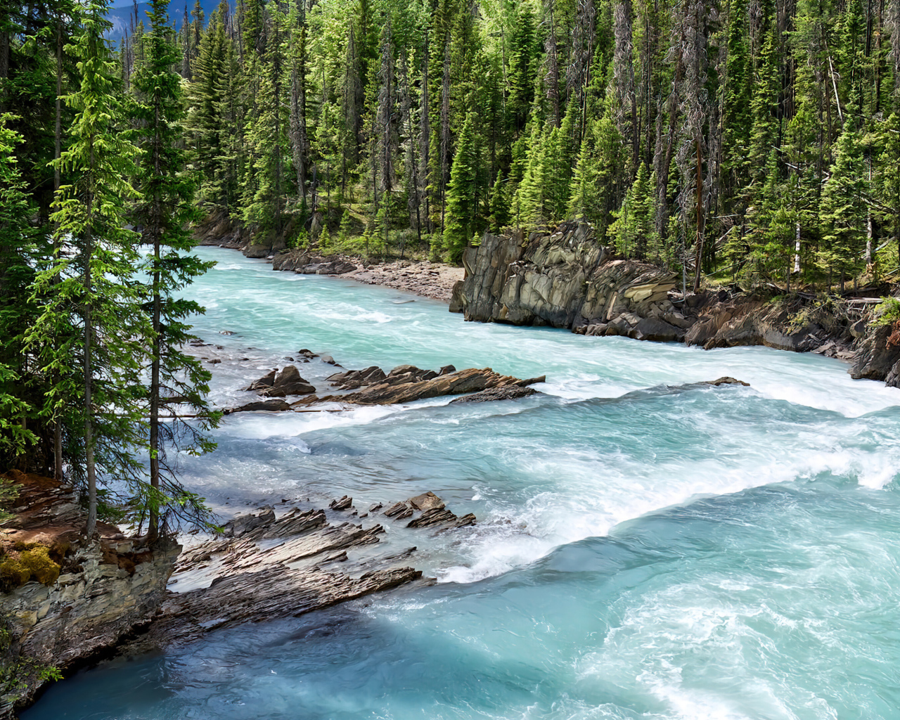 Быстрая голубая горная река с елями на берегу