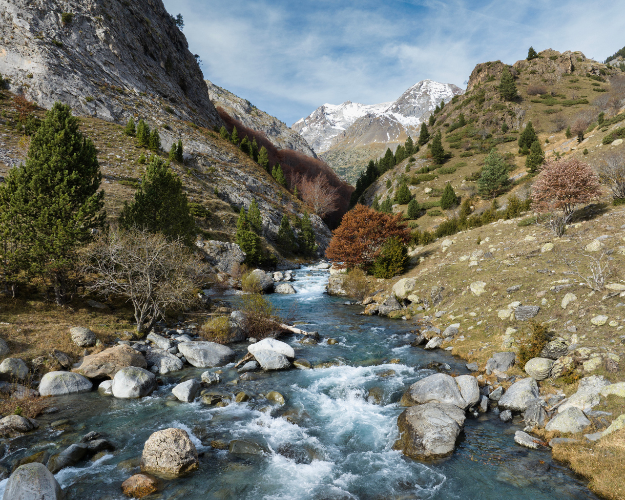 Быстрая река в горном ущелье 