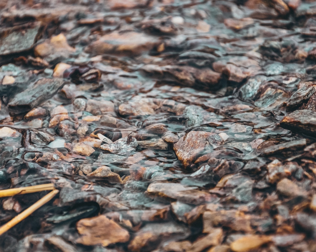 Мелкая река с камнями