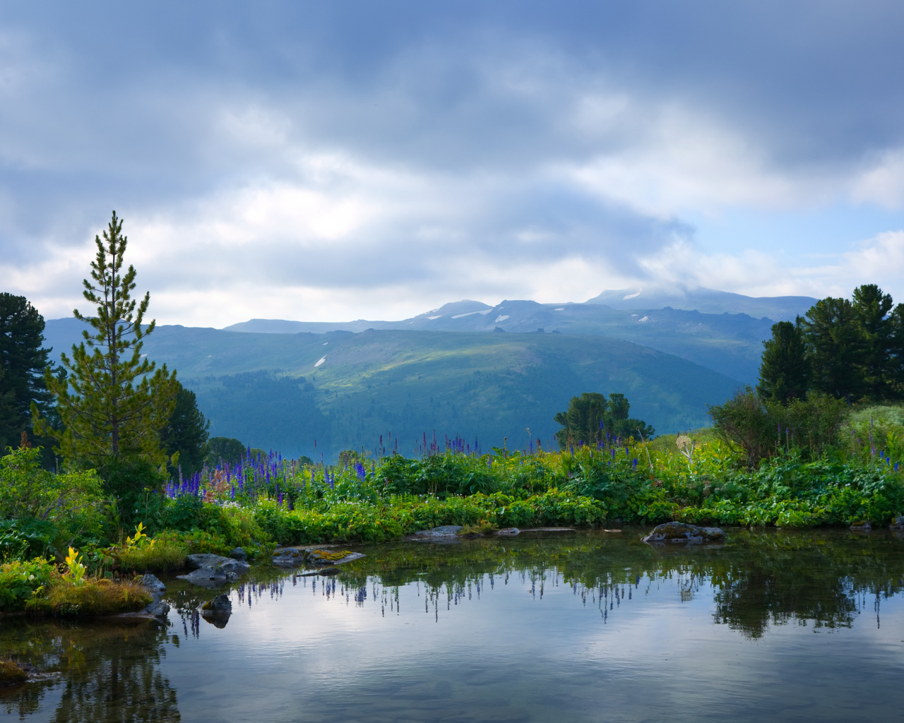 Вид на тихое озеро с покрытыми зеленой травой берегами на фоне гор