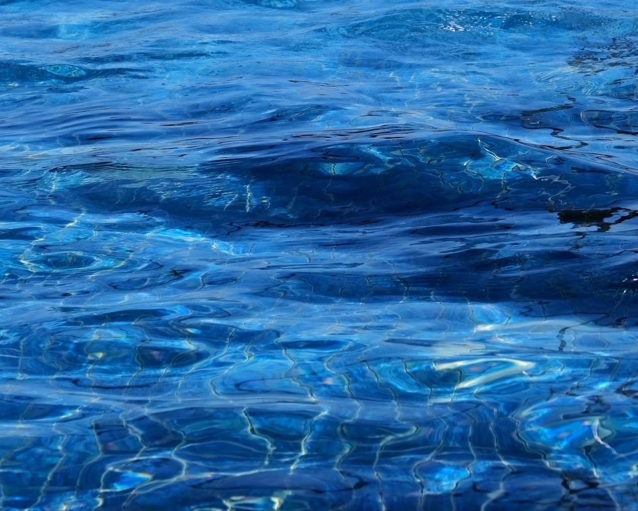 Синяя спокойная вода океана