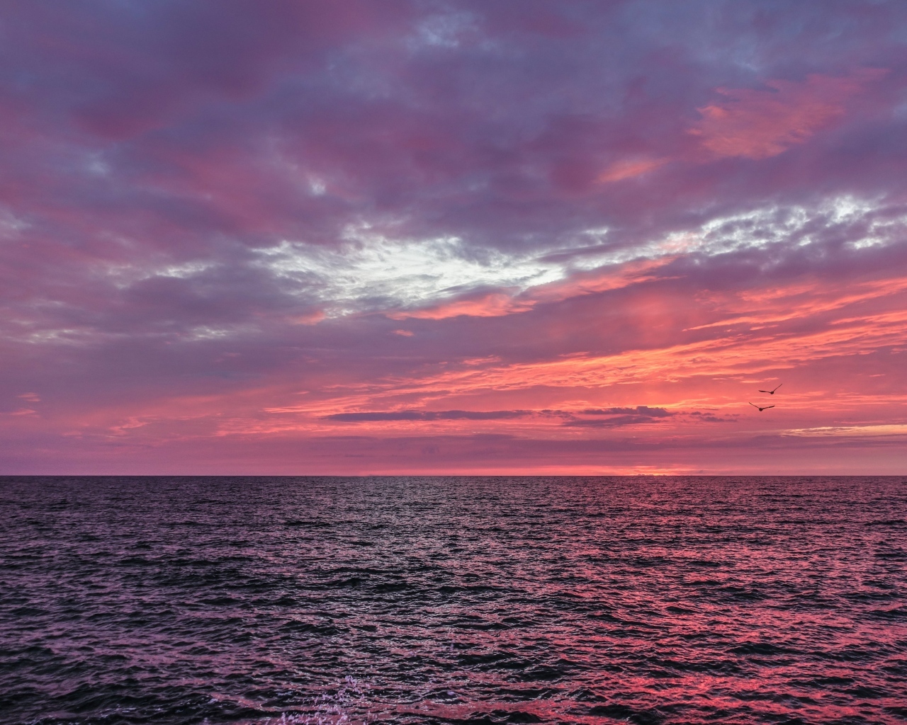 Красивый сиреневый закат над морем