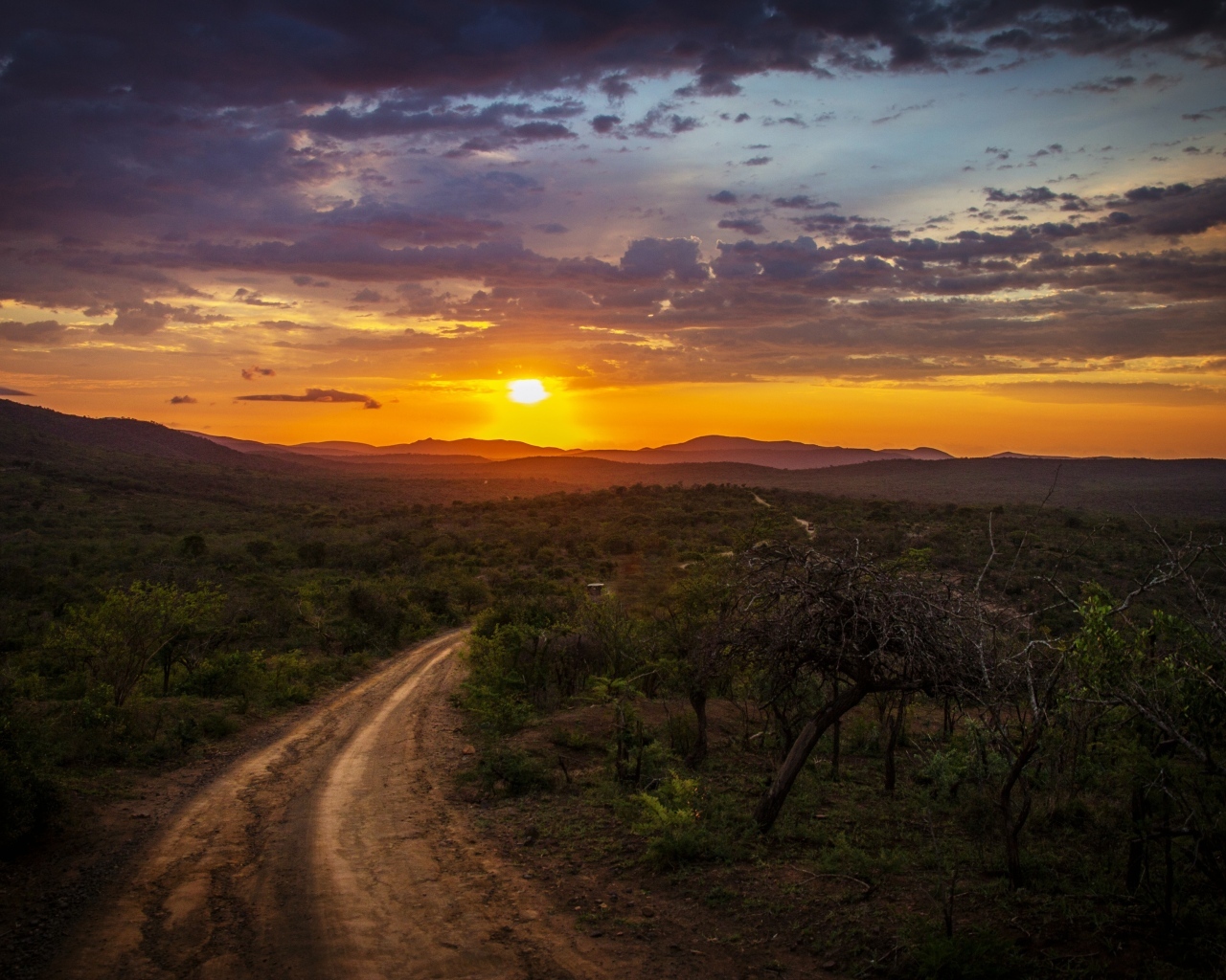 Красивый закат яркого летнего солнца над дорогой
