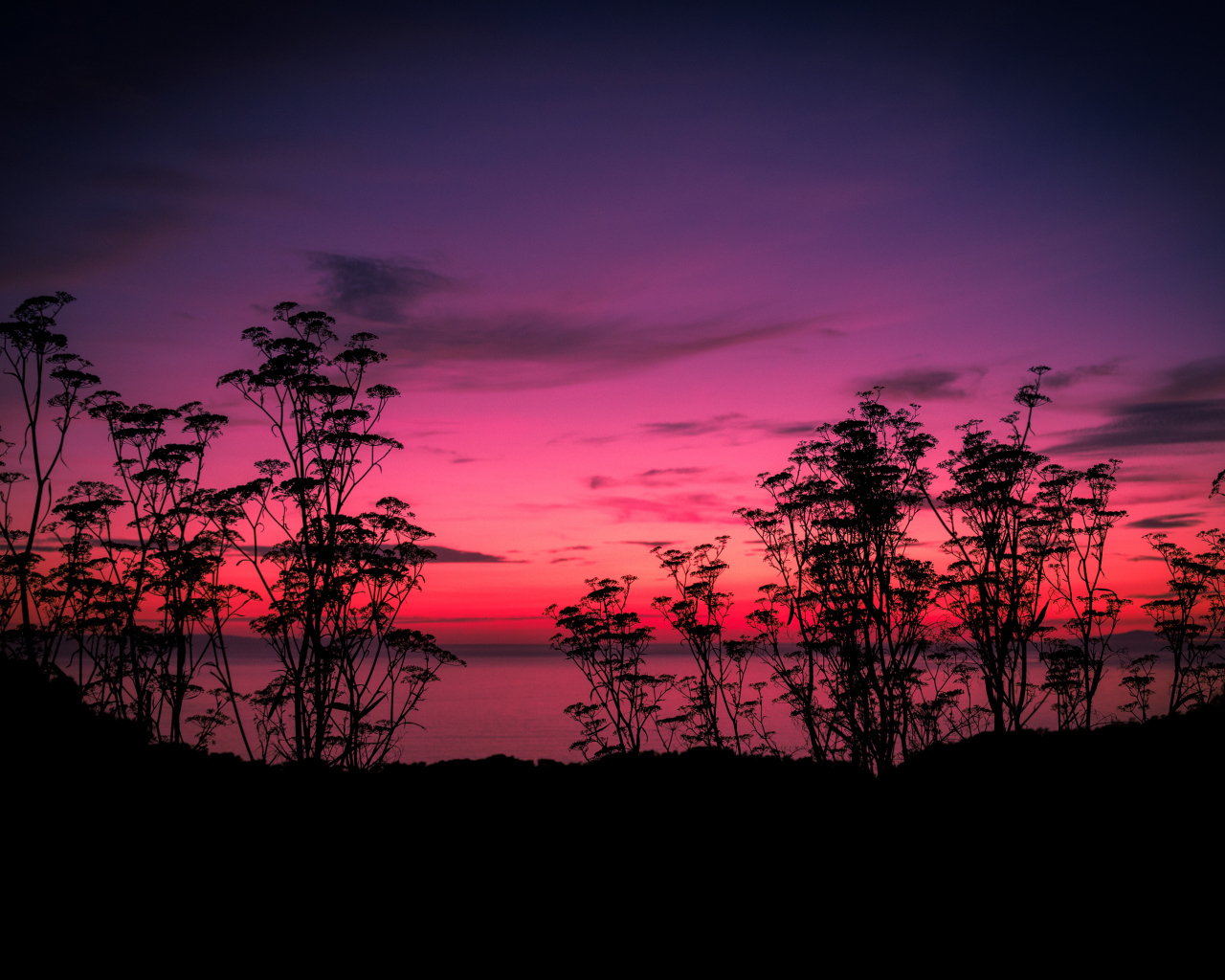 Розовый закат у тихого озера