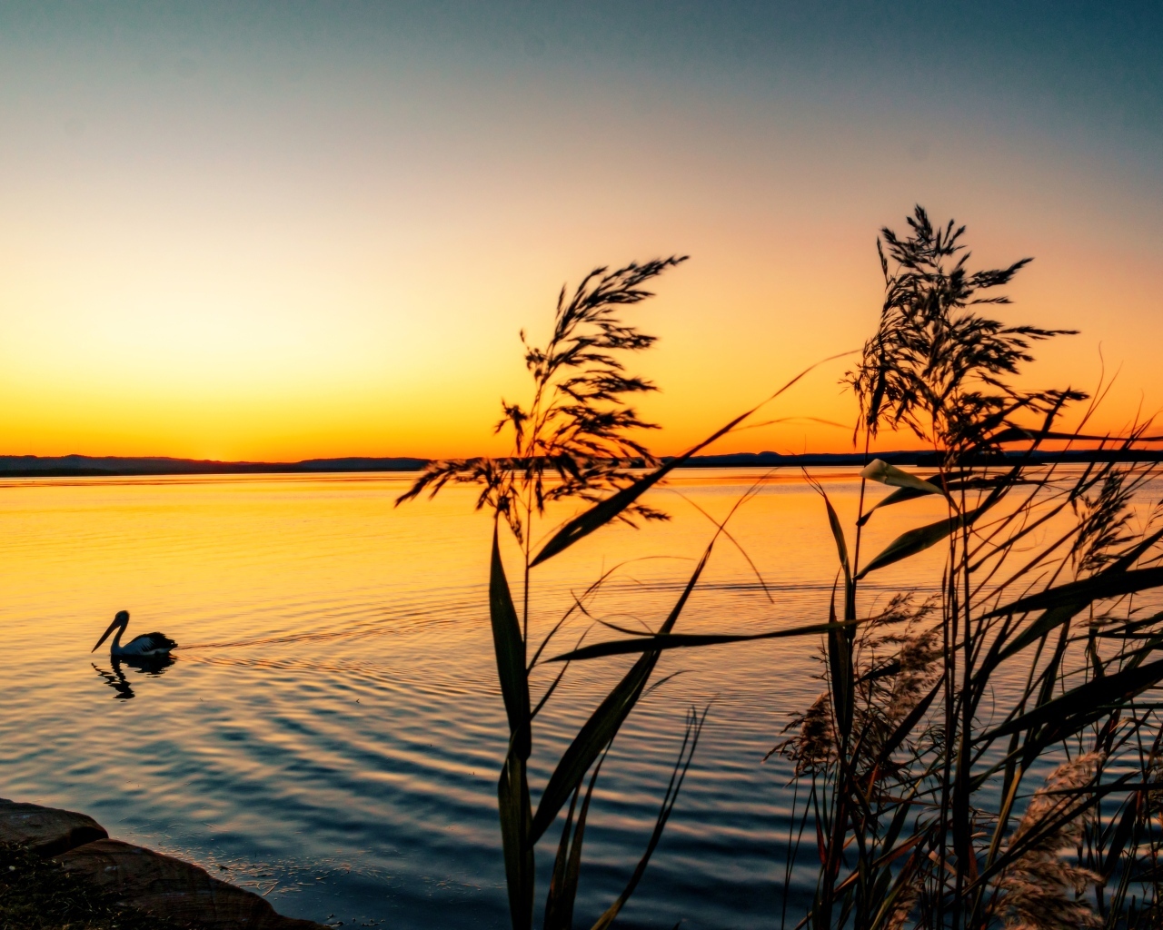 Тихий закат солнца над озером