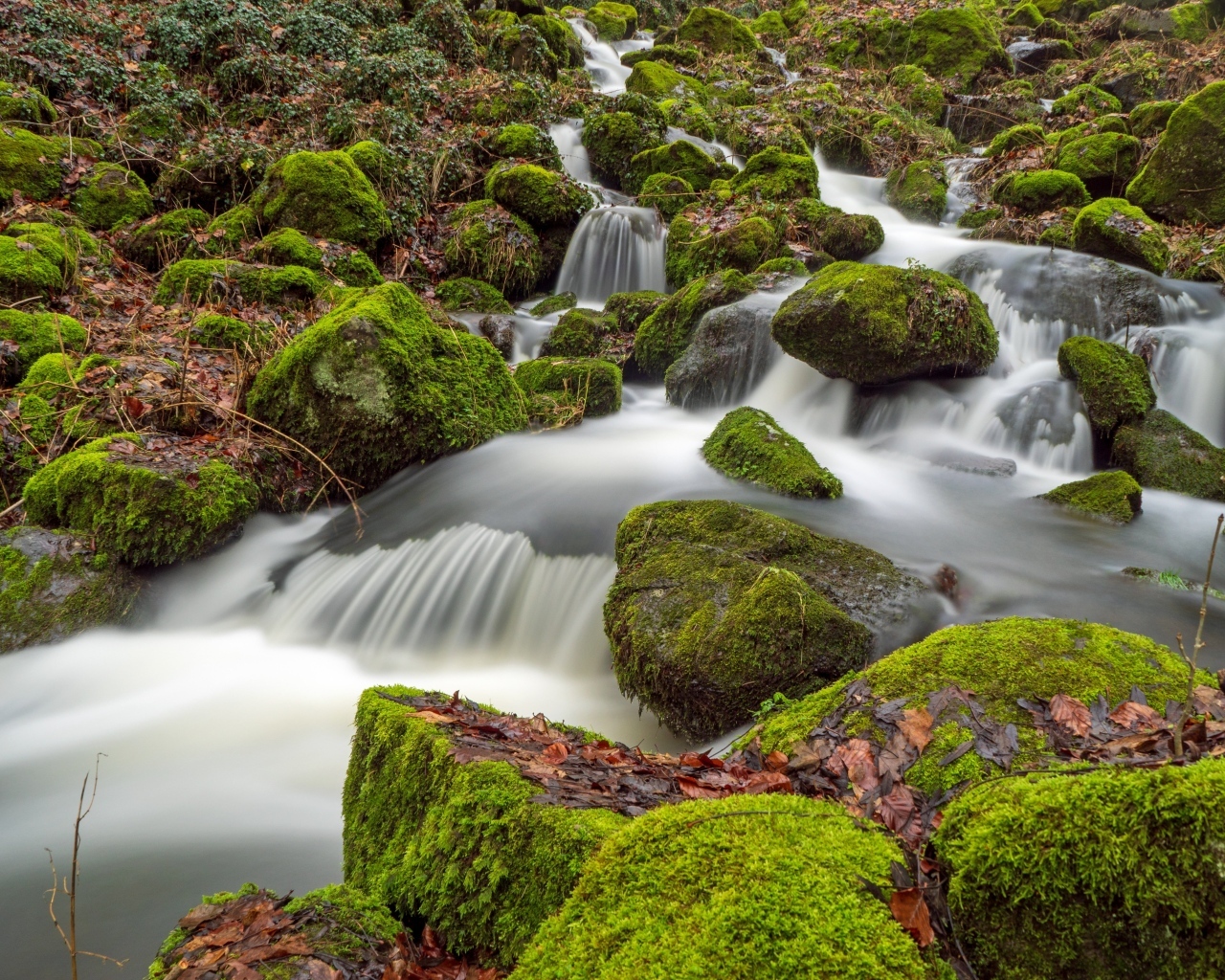 Быстрая вода лесного водопада стекает по покрытым зеленым мхом камням