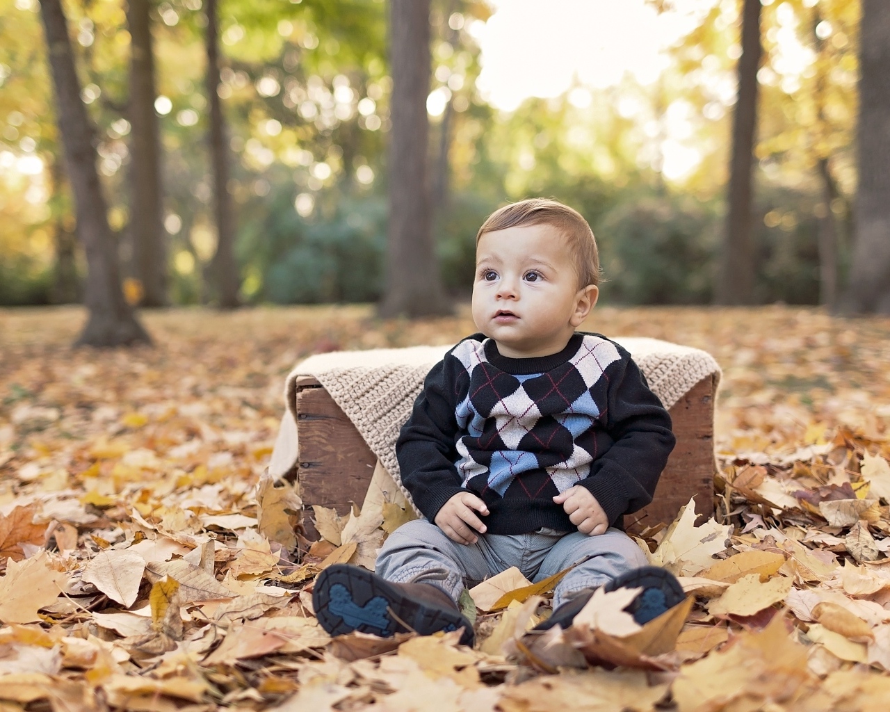 Мальчик сидит на опавшей осенней листве