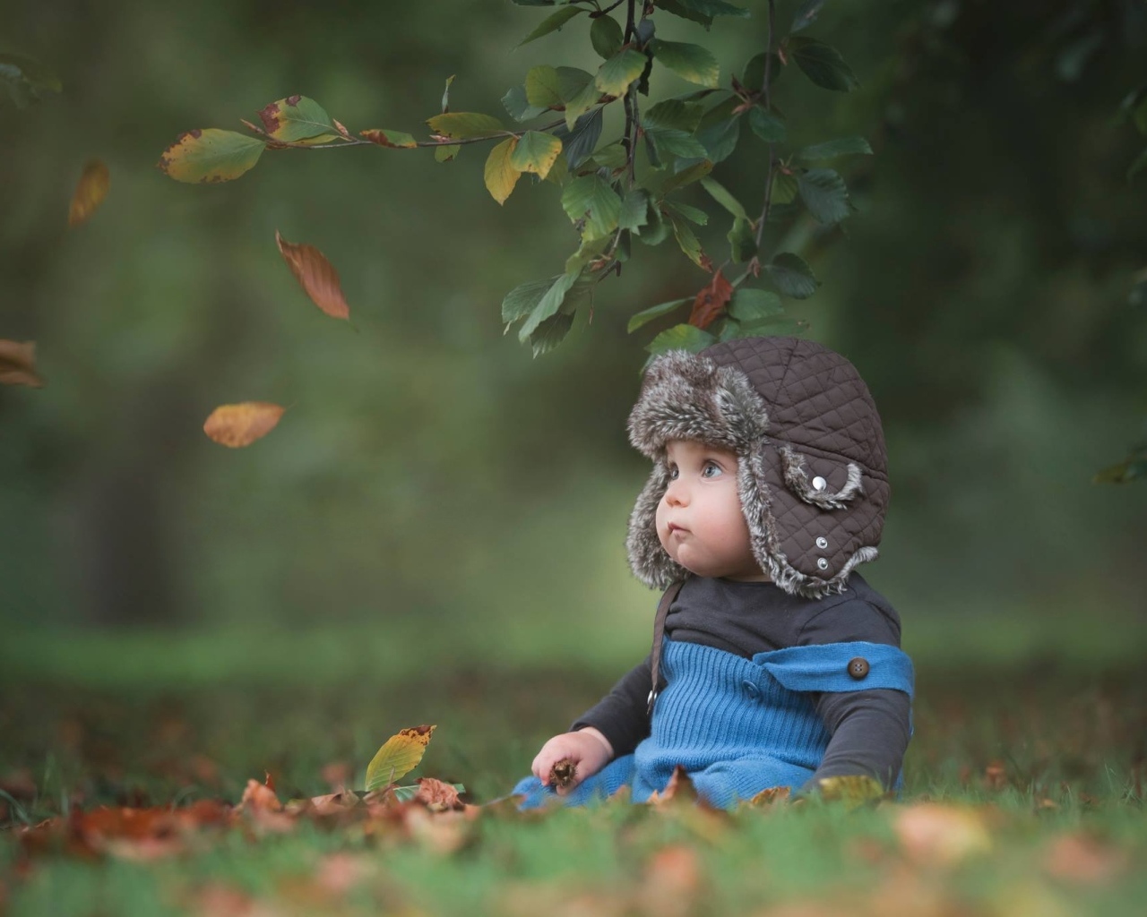 Карапуз в шапке сидит под деревом осенью