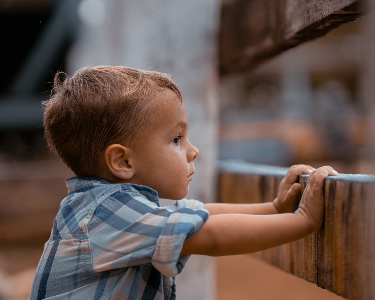 Любопытный мальчик в рубашке