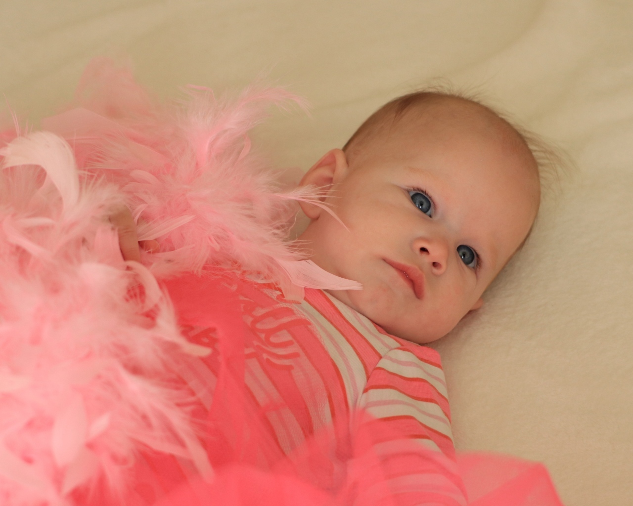 Милая малышка с розовыми перьями