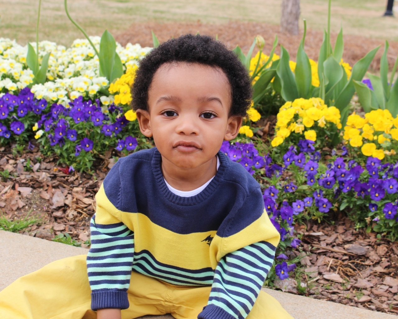 Темнокожий мальчик у клумбы с цветами 