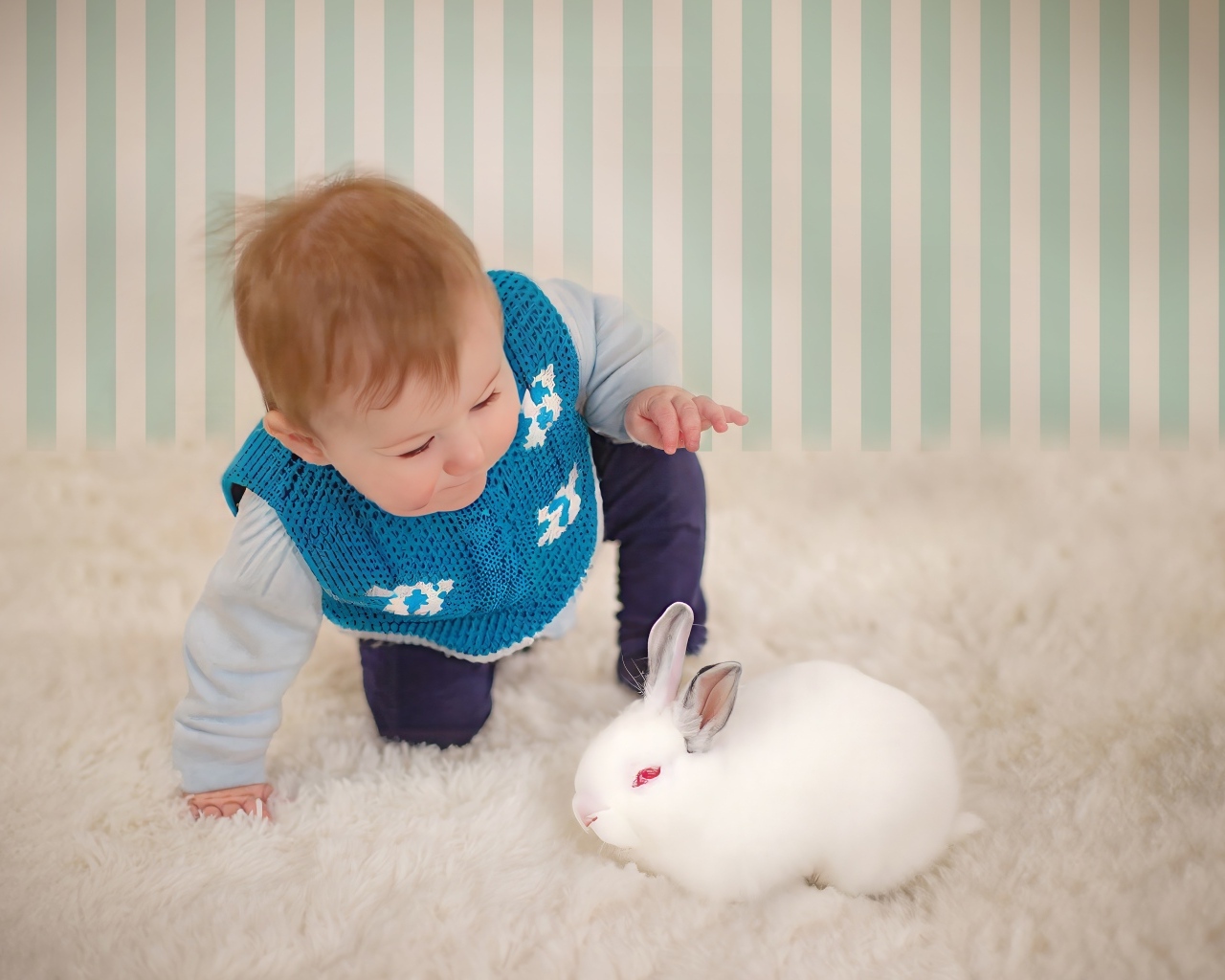 Смешной маленький мальчик с белым кроликом