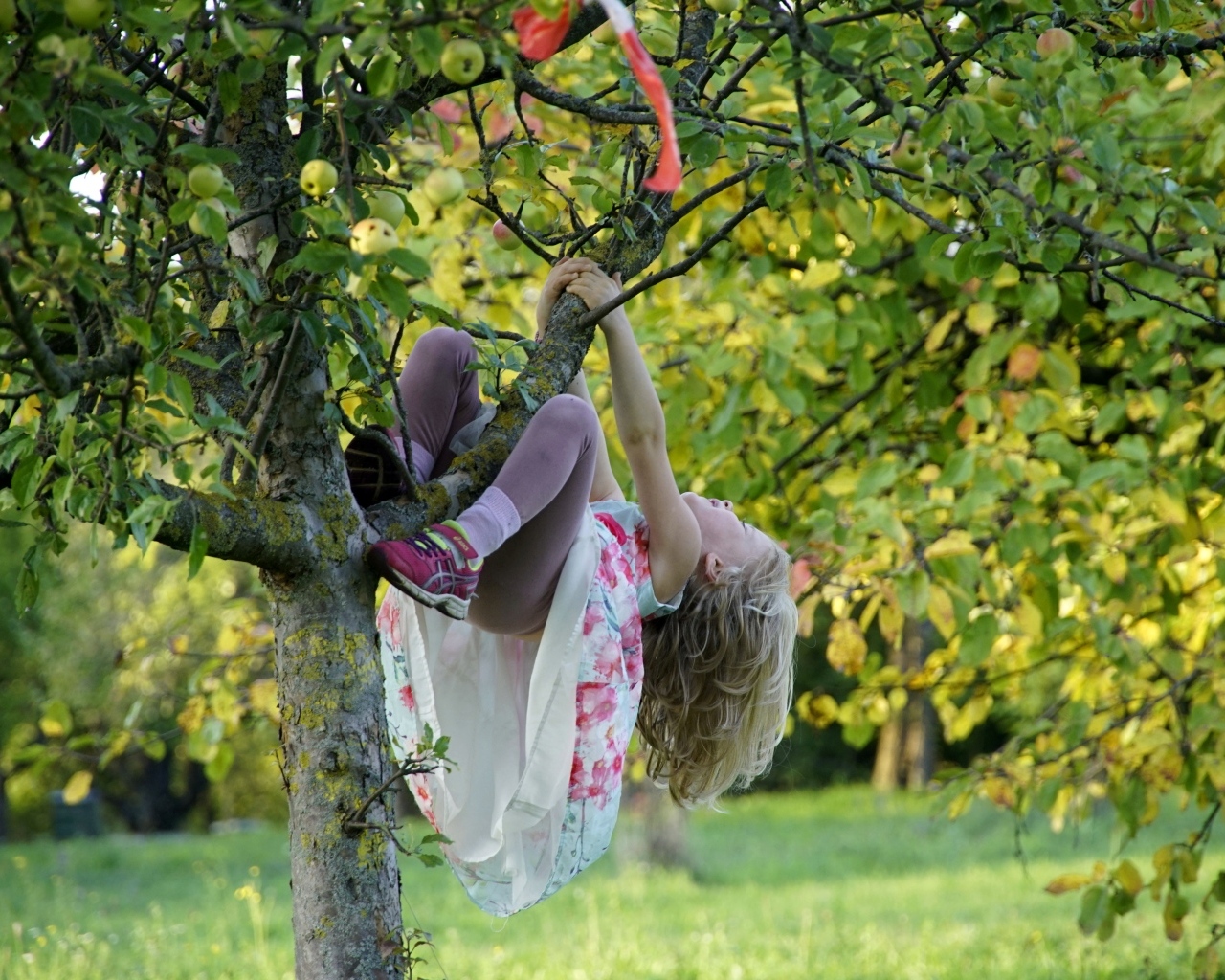 Девочка висит на дереве с яблоками