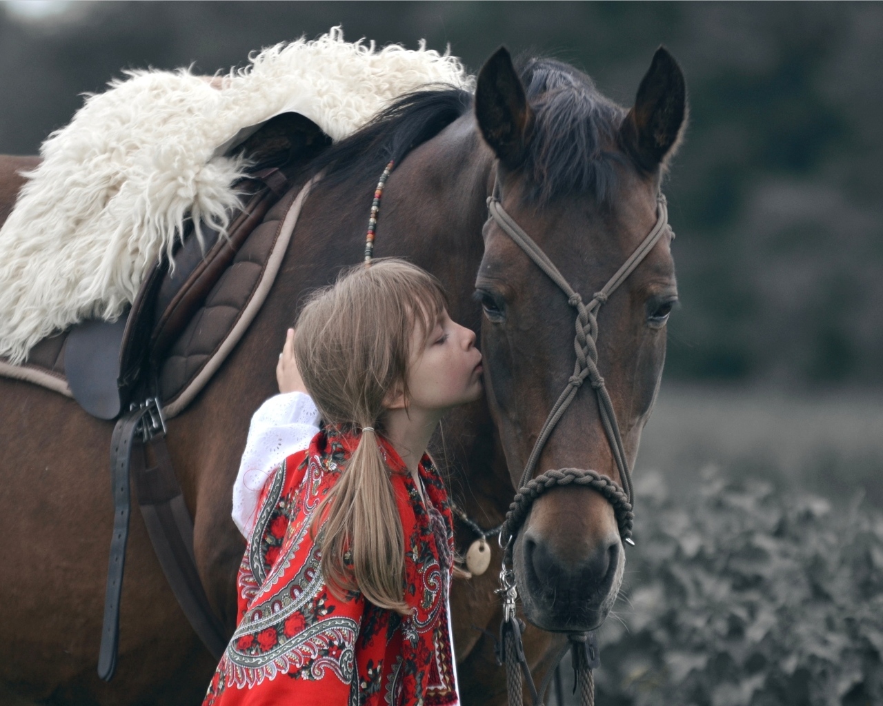 Девочка с большим коричневым конем