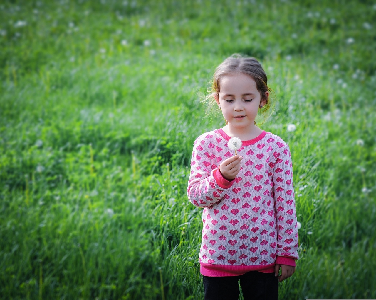 Девочка с одуванчиком на поле с зеленой травой