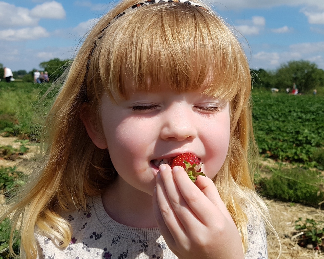 Маленькая девочка с закрытыми глазами пробует клубнику