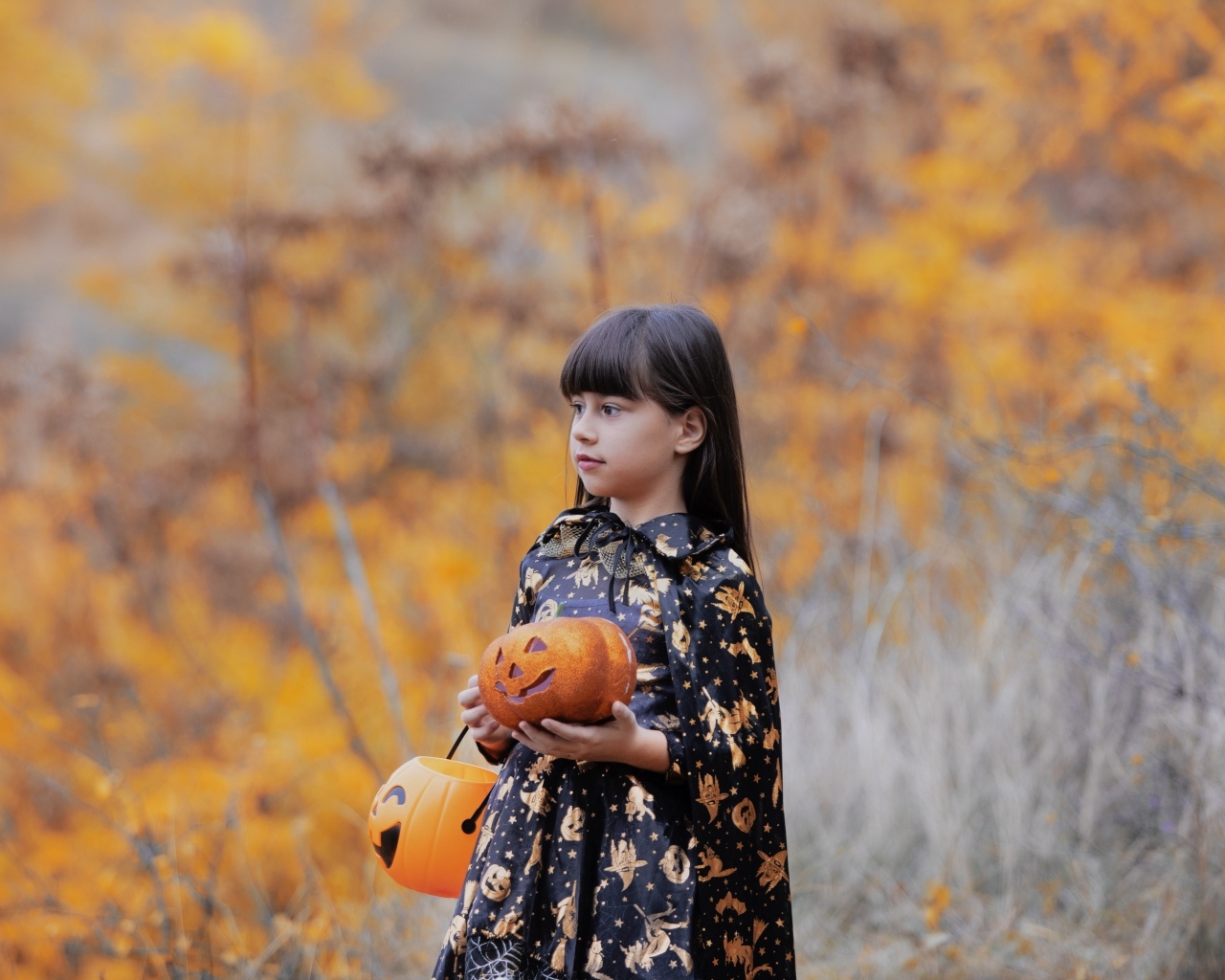 Маленькая девочка с тыквами в осеннем парке