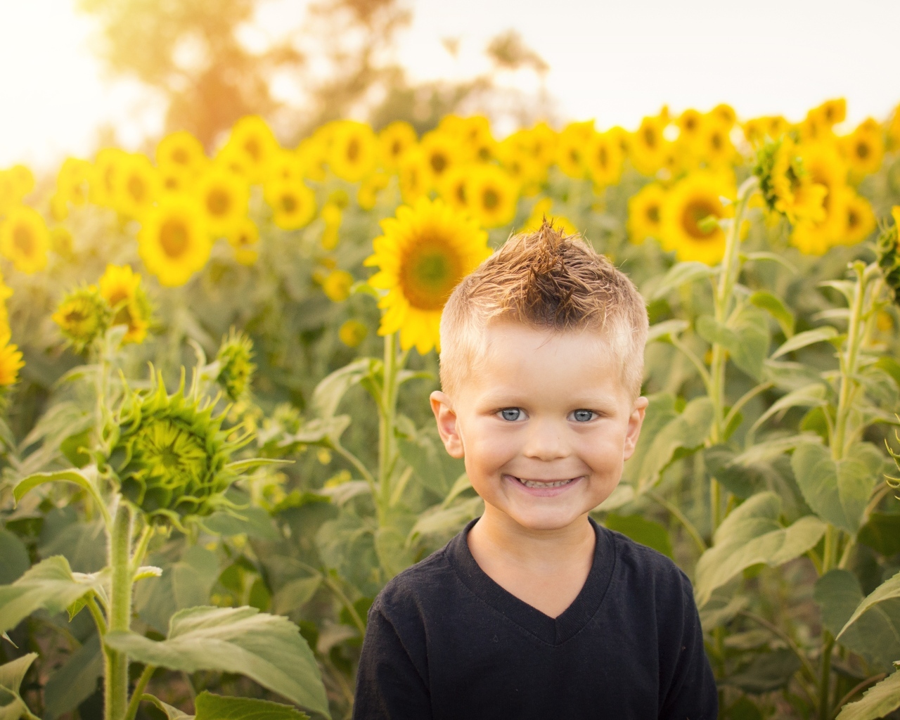 Улыбающийся маленький мальчик на поле с подсолнухами