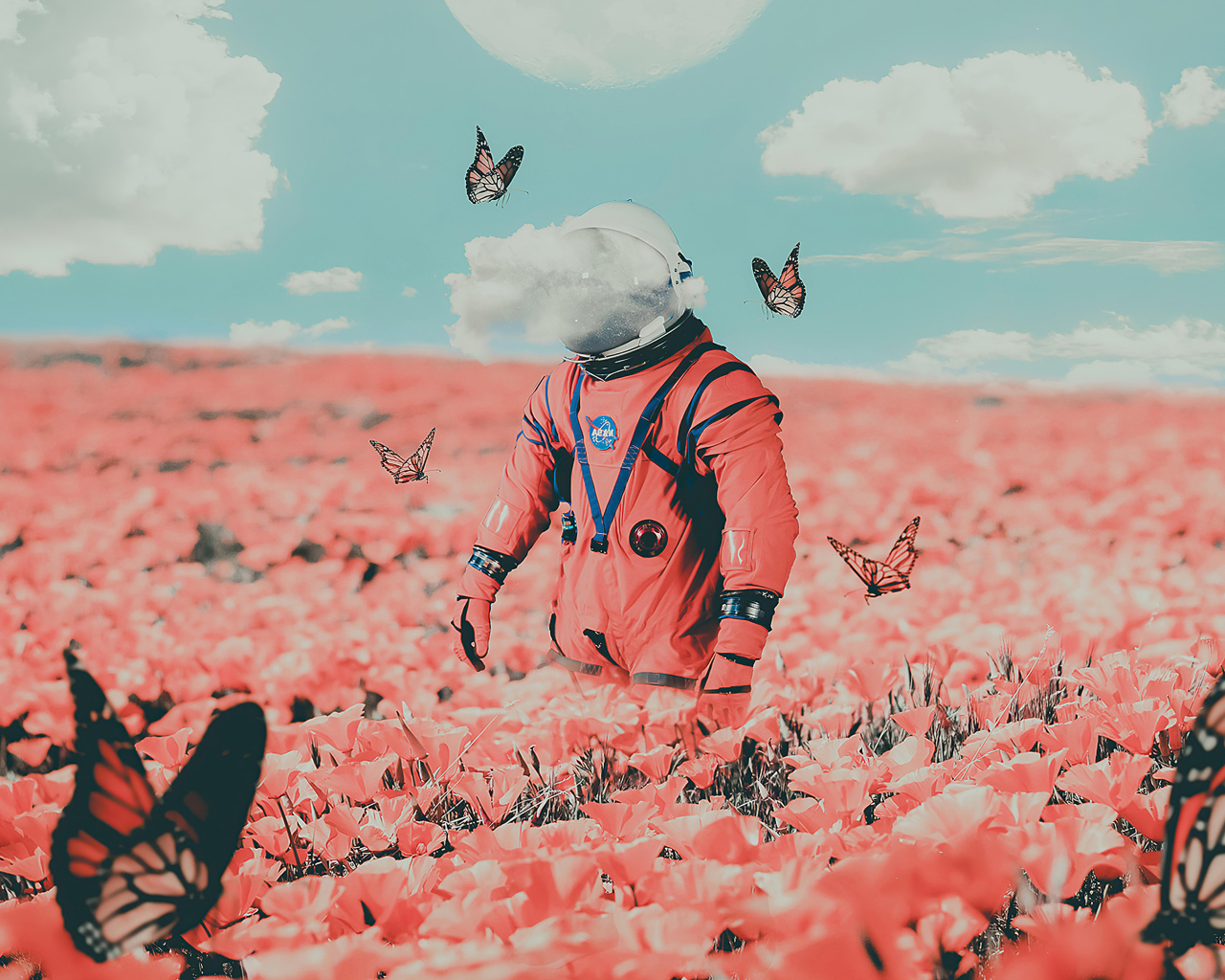 Астронавт на поле с красными маками и бабочками