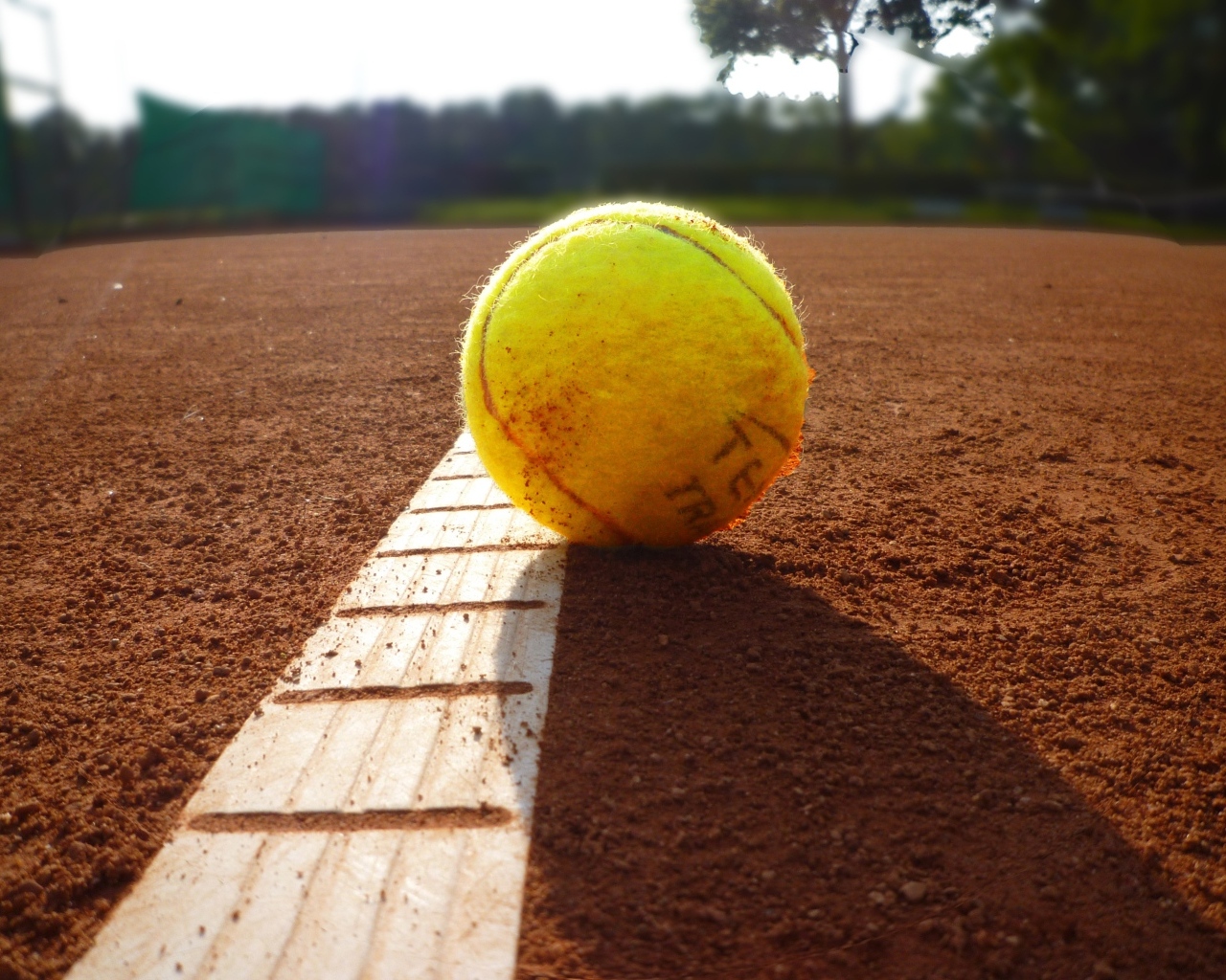 Желтый теннисный мяч лежит на поле