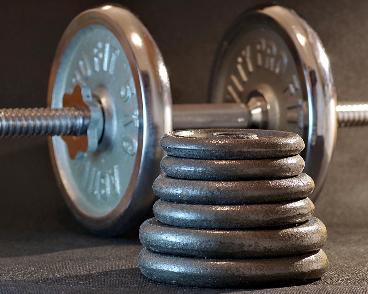Гантеля с тяжелыми дисками