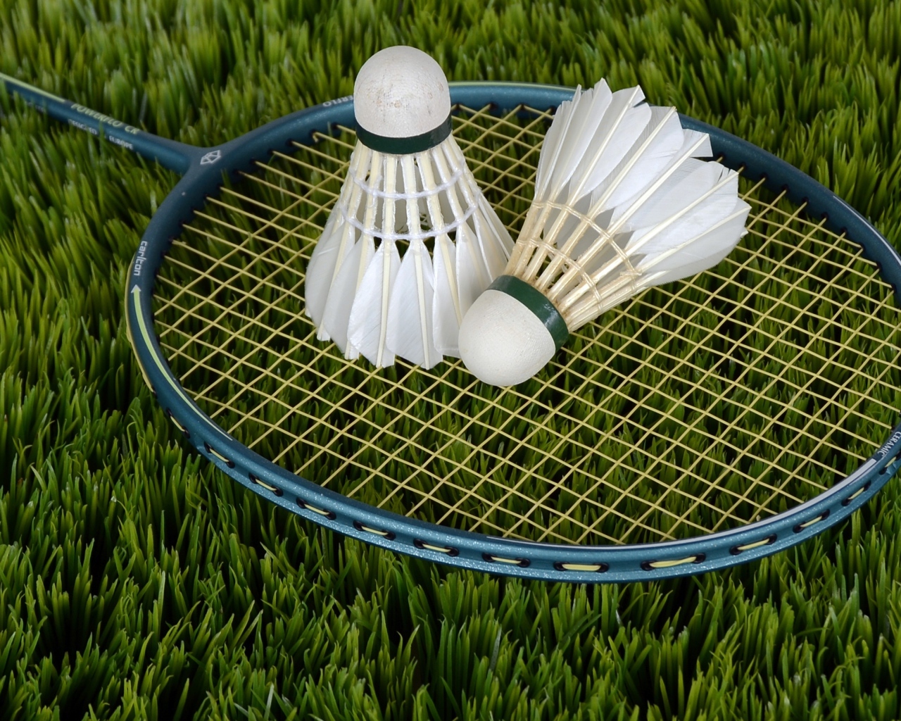 Ракетка и два волана для игры в бадминтон