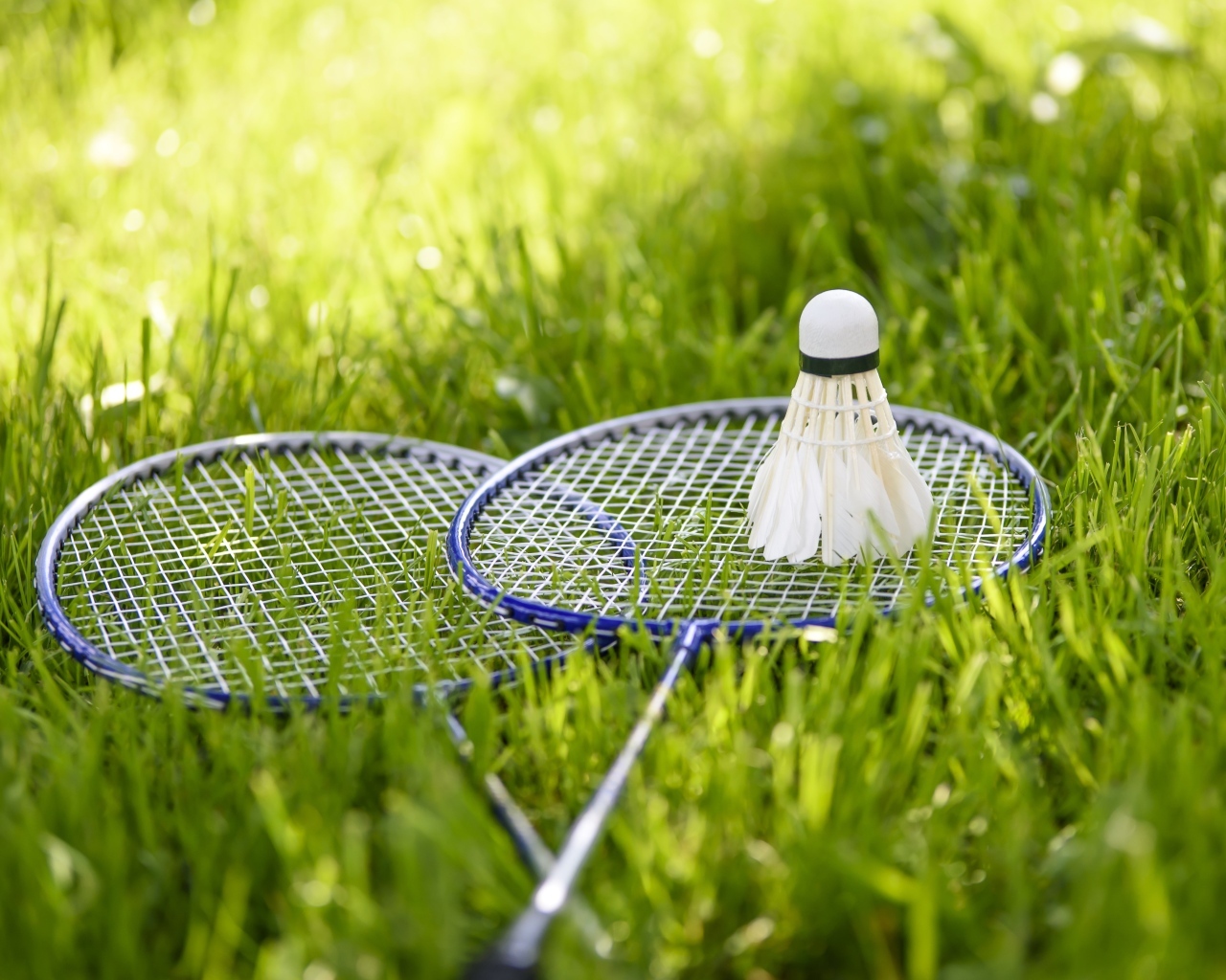Две ракетки и воланчик для игры в бадминтон