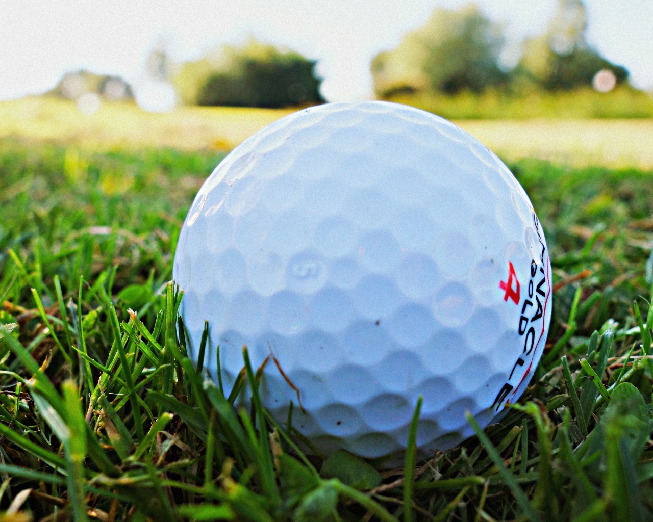 Белый мяч для гольфа в зеленой траве