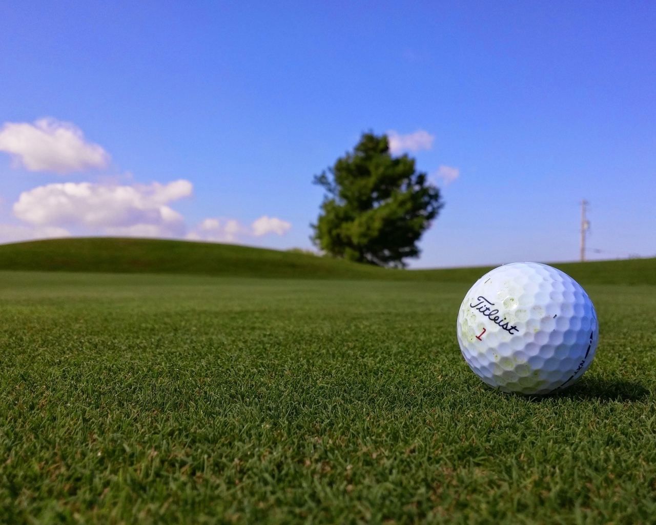Белый мяч для гольфа на зеленой траве