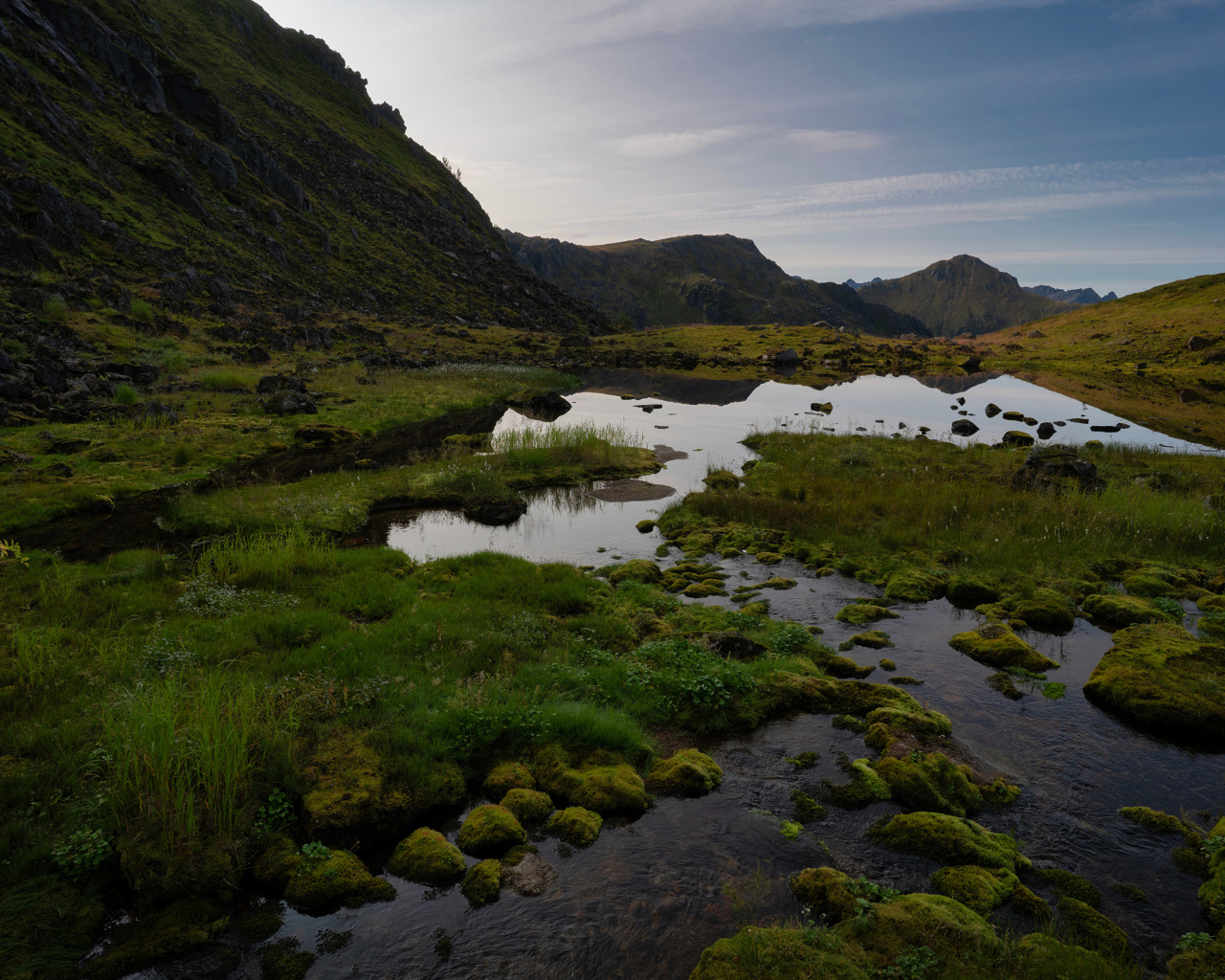 Мелкая горная река покрыта зеленью, Норвегия