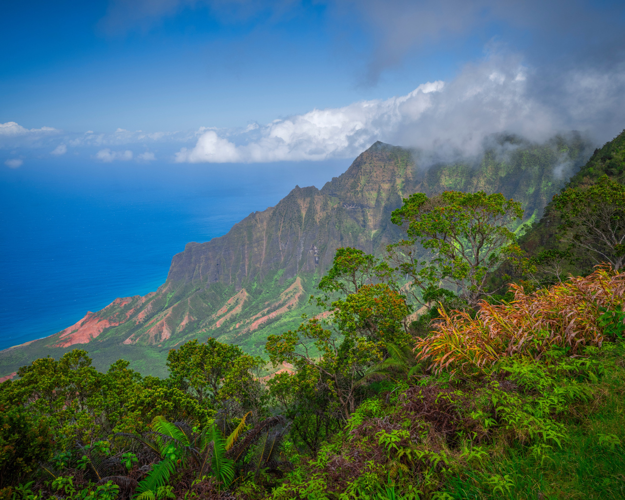 Покрытые зеленью горы на Гавайских островах, США