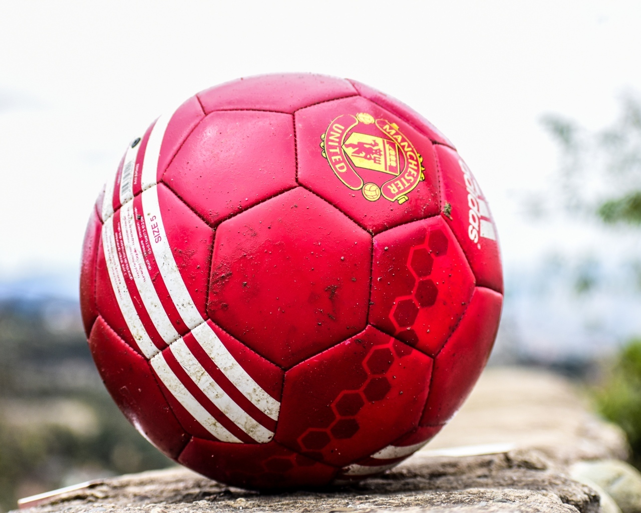 Красный футбольный мяч лежит на камне