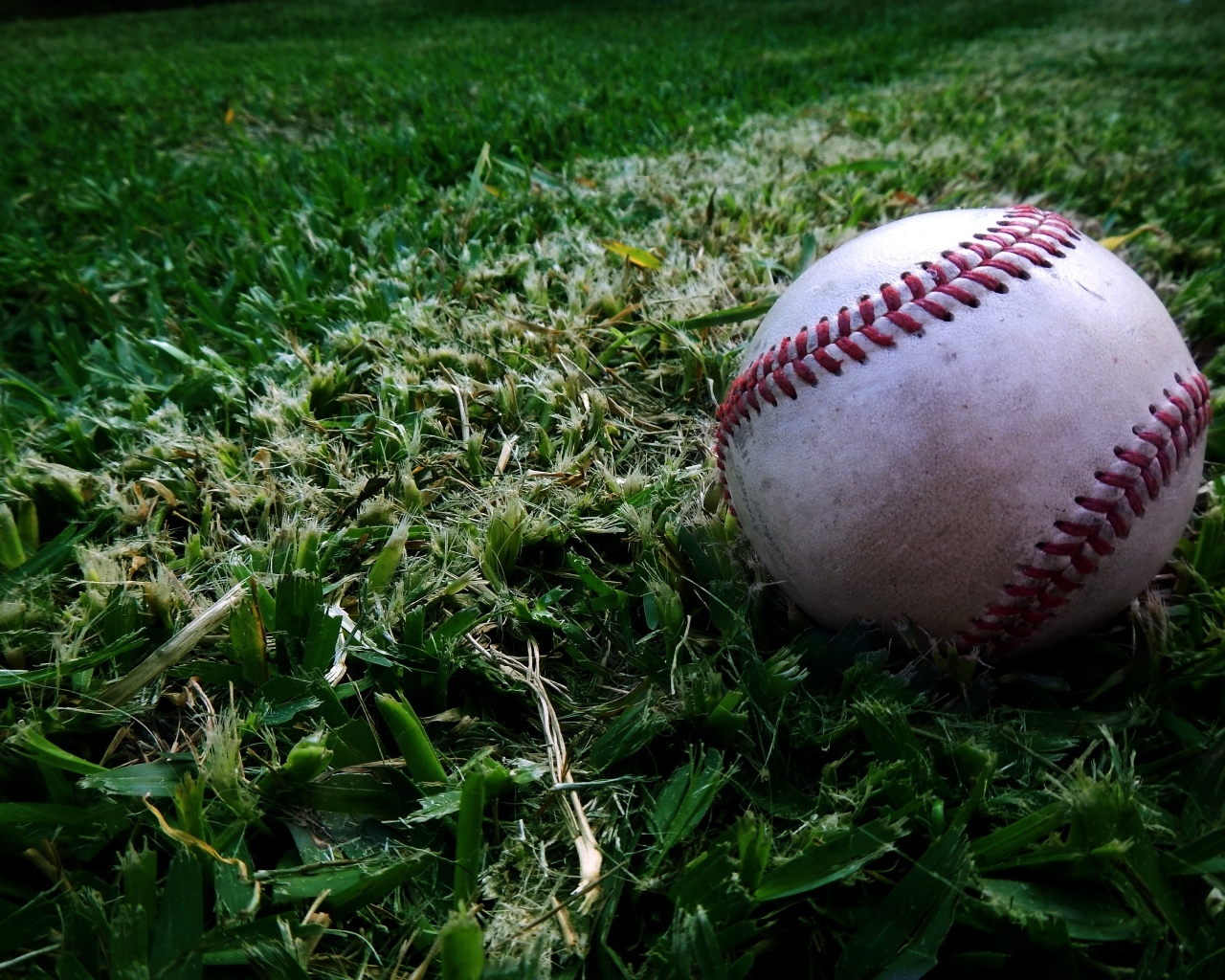 Мяч для бейсбола на траве 