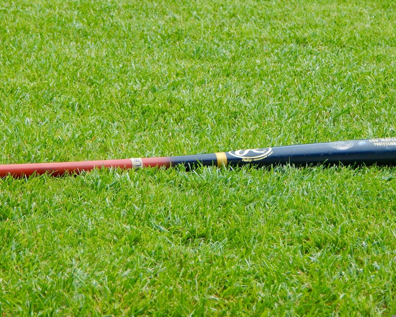 Бейсбольная бита на зеленой траве 