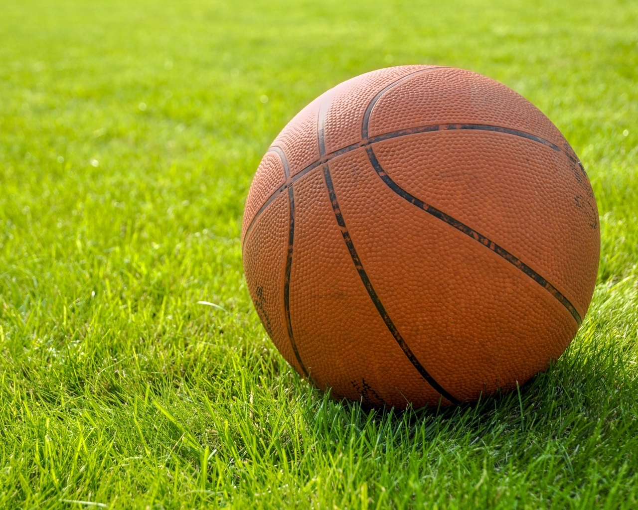 Коричневый кожаный баскетбольный мяч на зеленой траве