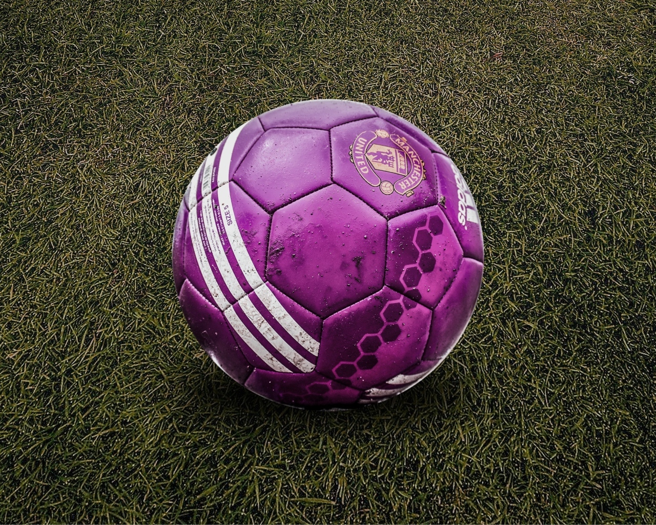 Фиолетовый футбольный мяч на траве