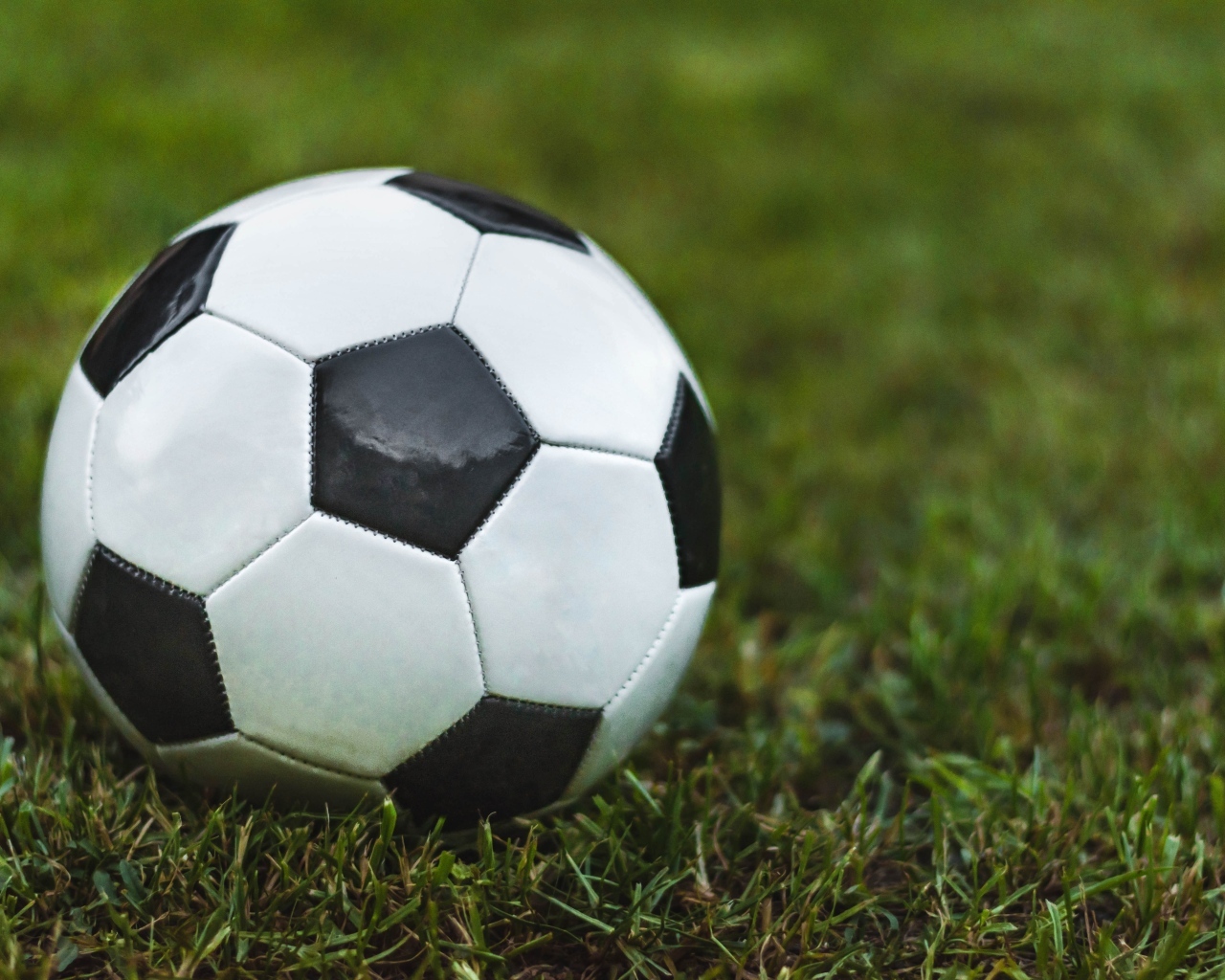 Футбольный мяч лежит на зеленой траве 