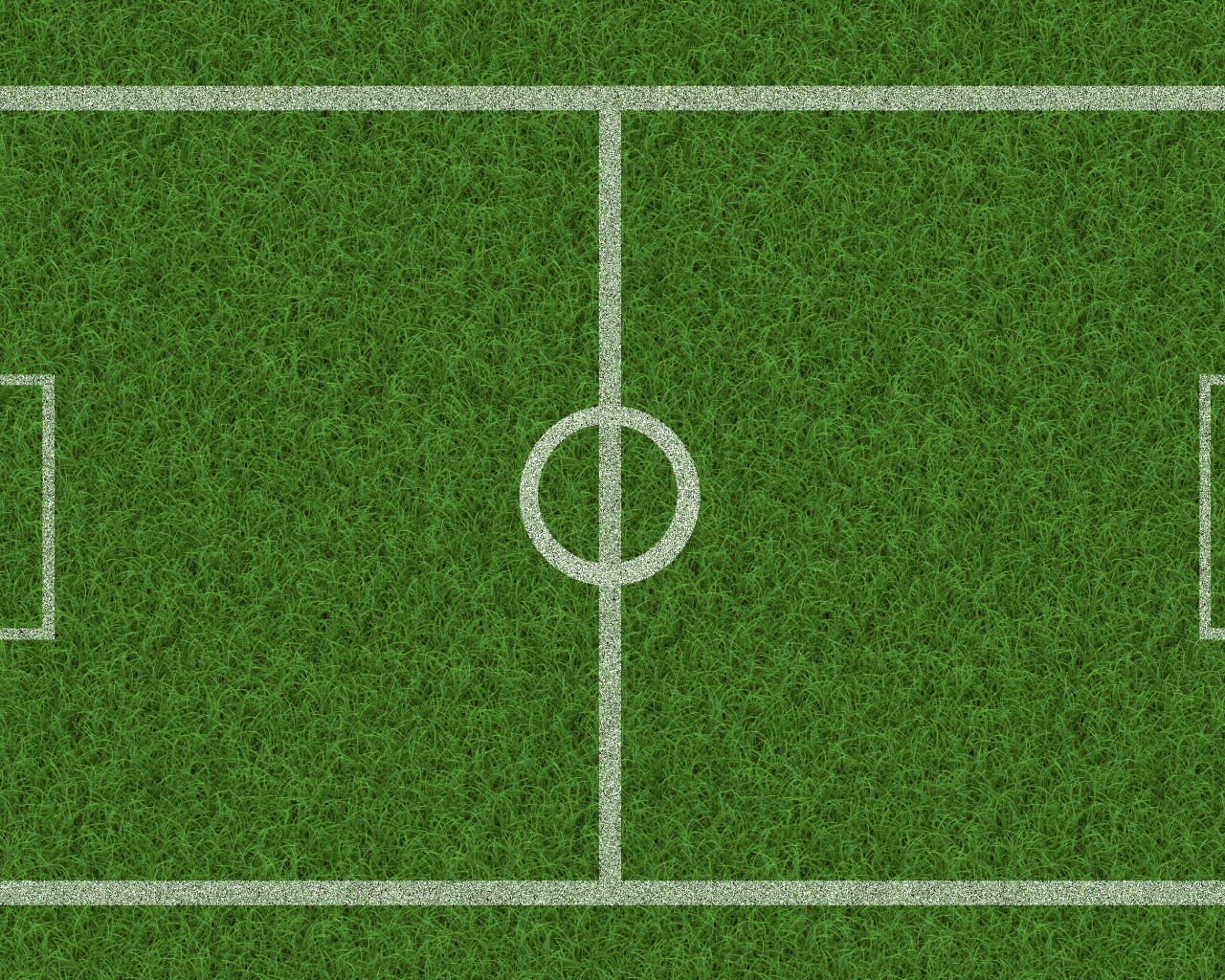 Поле расчерчено белыми линиями на зеленой траве