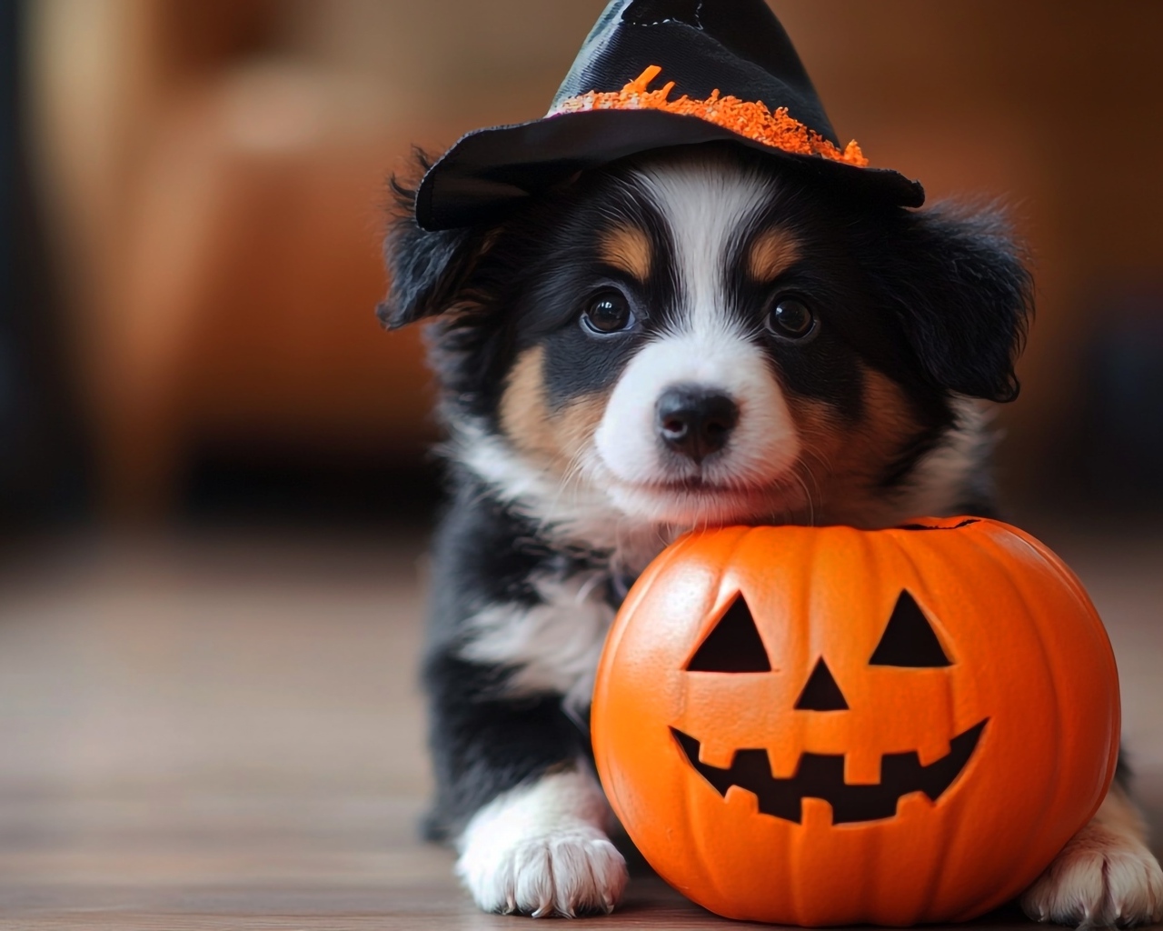 Маленький забавный щенок с тыквой на Хэллоуин 