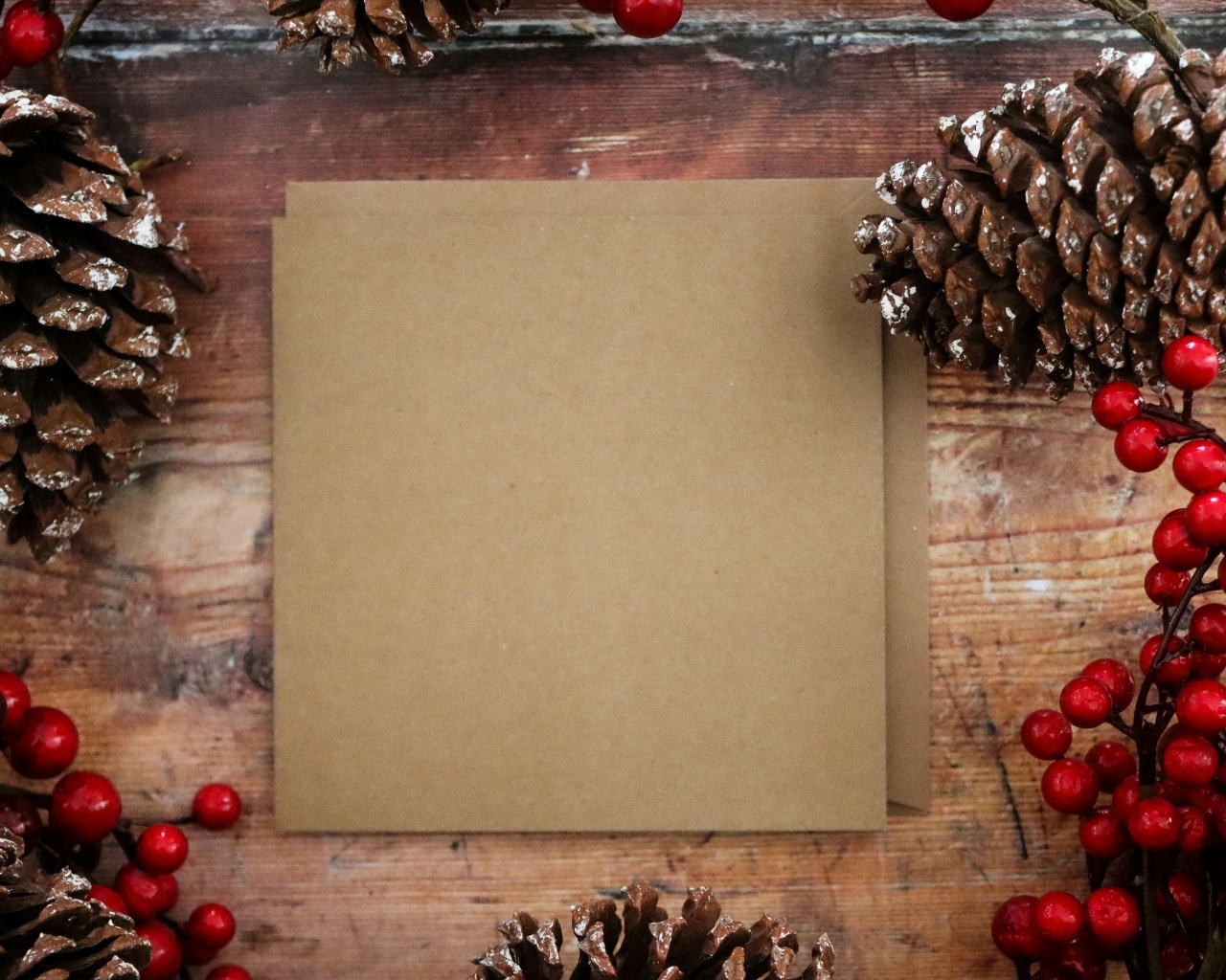 Лист бумаги с шишками и ягодами шаблон открытки